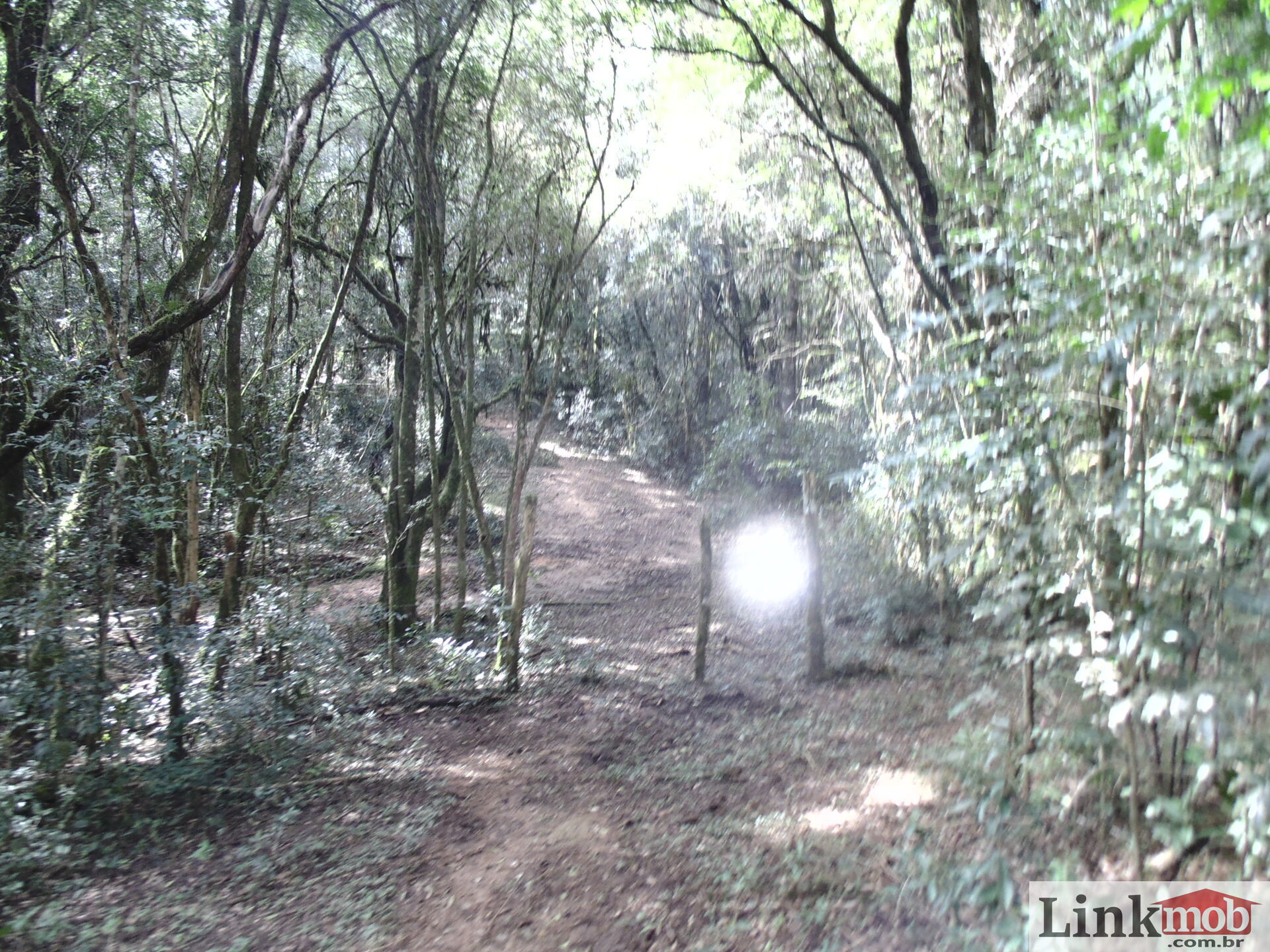 Fazenda à venda, 50000m² - Foto 5