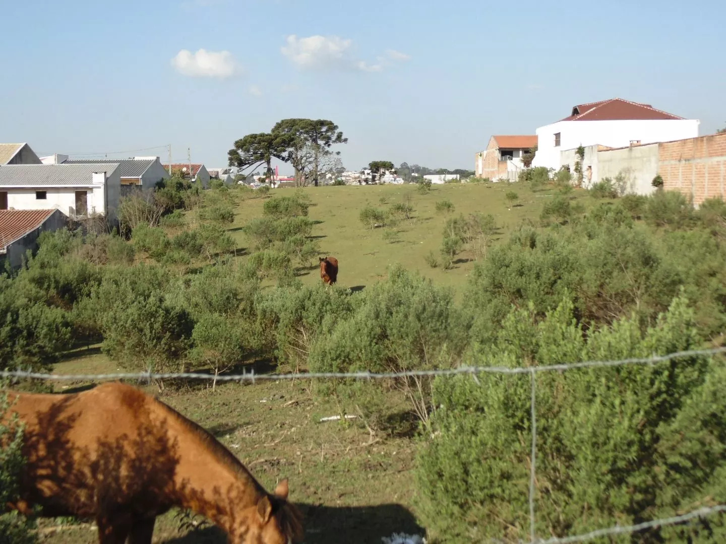 Terreno à venda, 11665m² - Foto 5