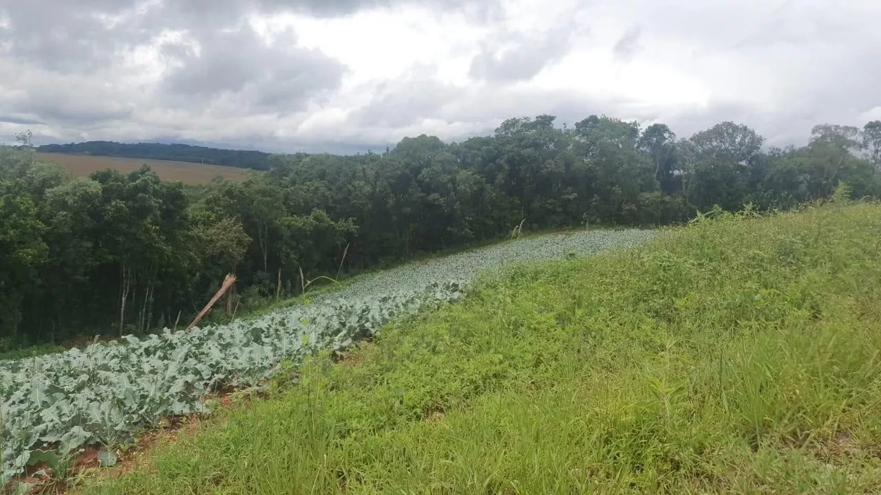 Fazenda à venda com 1 quarto, 72000m² - Foto 4