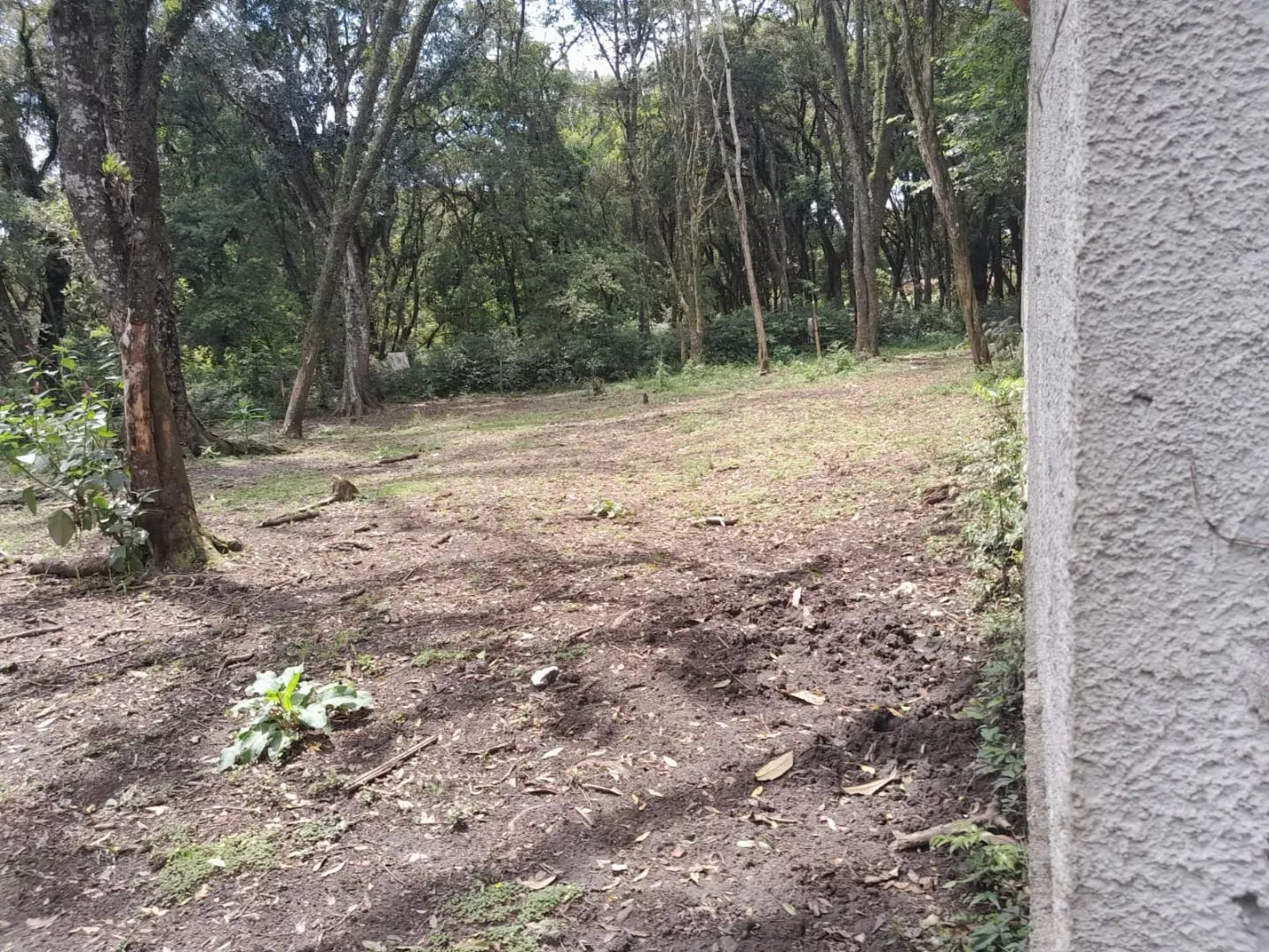 Terreno à venda, 800m² - Foto 2