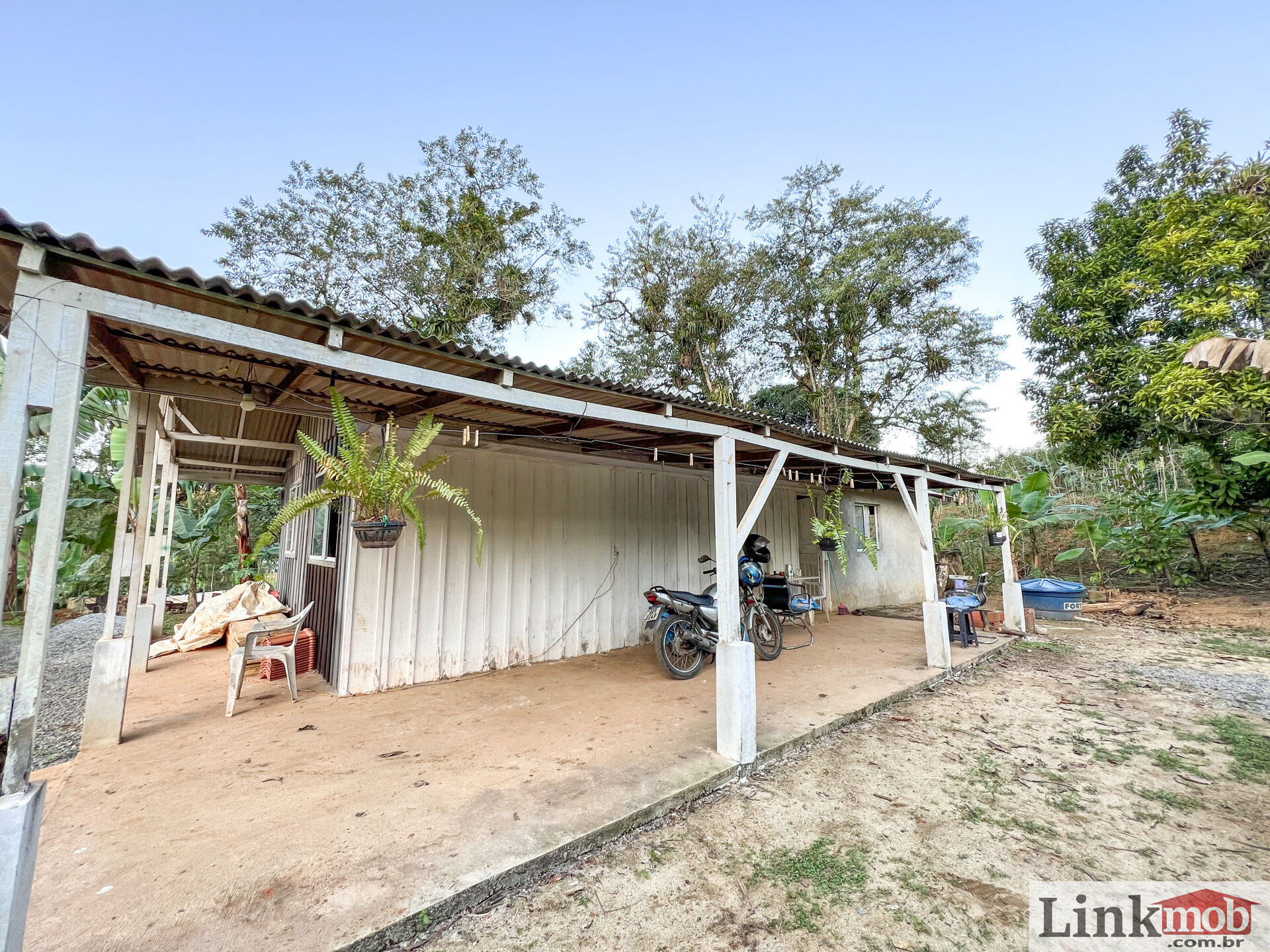 Fazenda à venda com 3 quartos, 3000m² - Foto 7