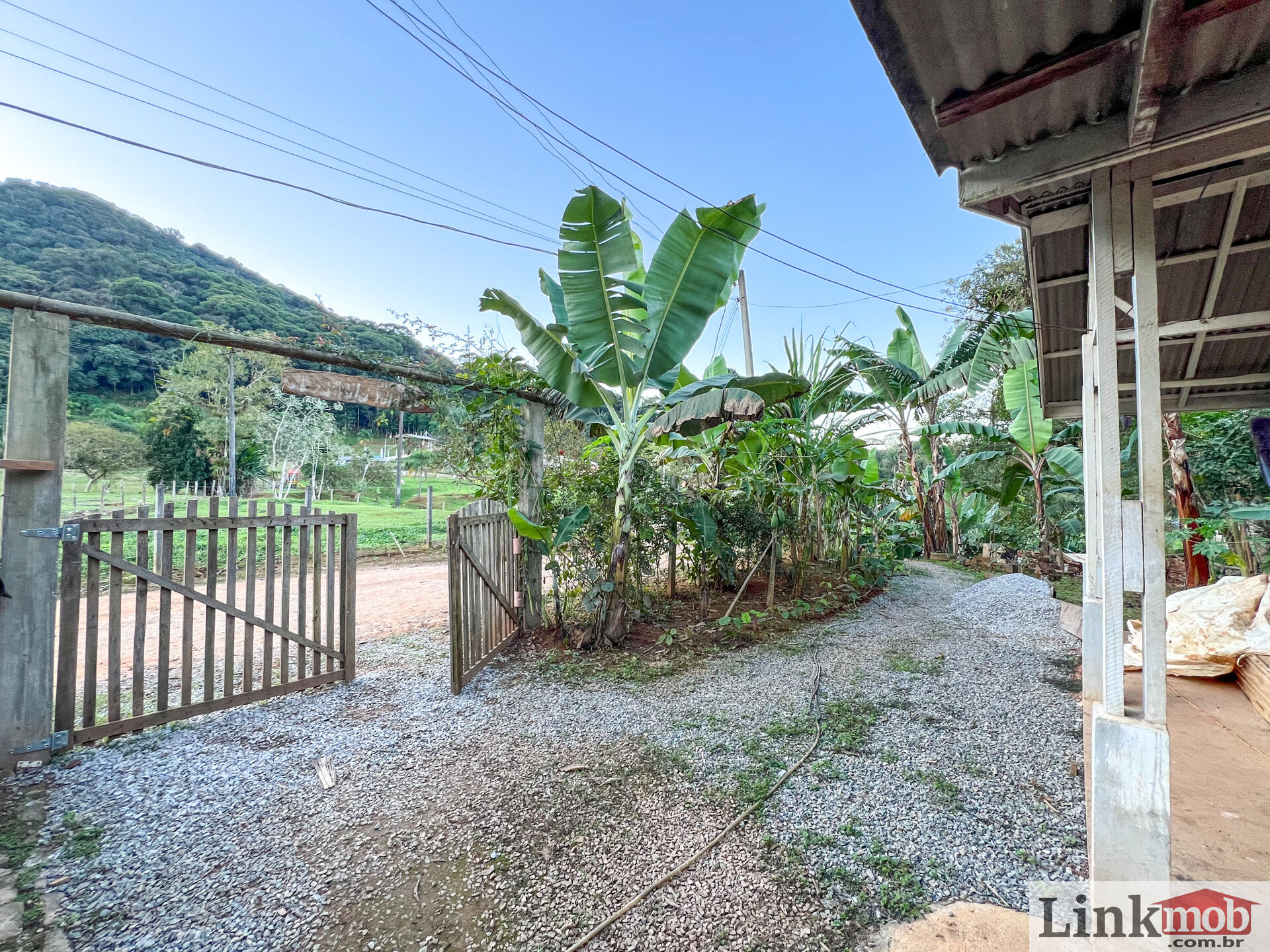 Fazenda à venda com 3 quartos, 3000m² - Foto 3