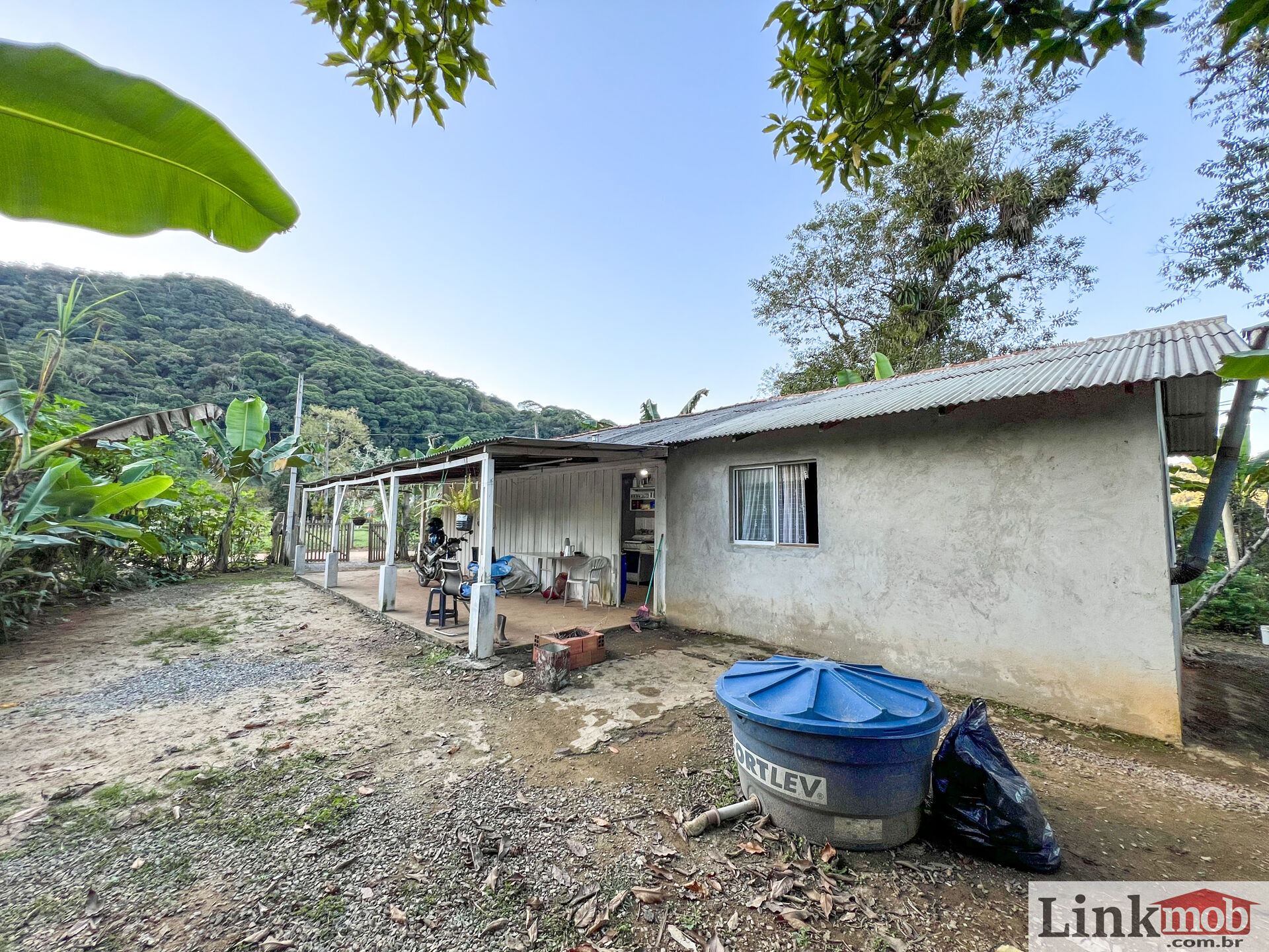 Fazenda à venda com 3 quartos, 3000m² - Foto 10