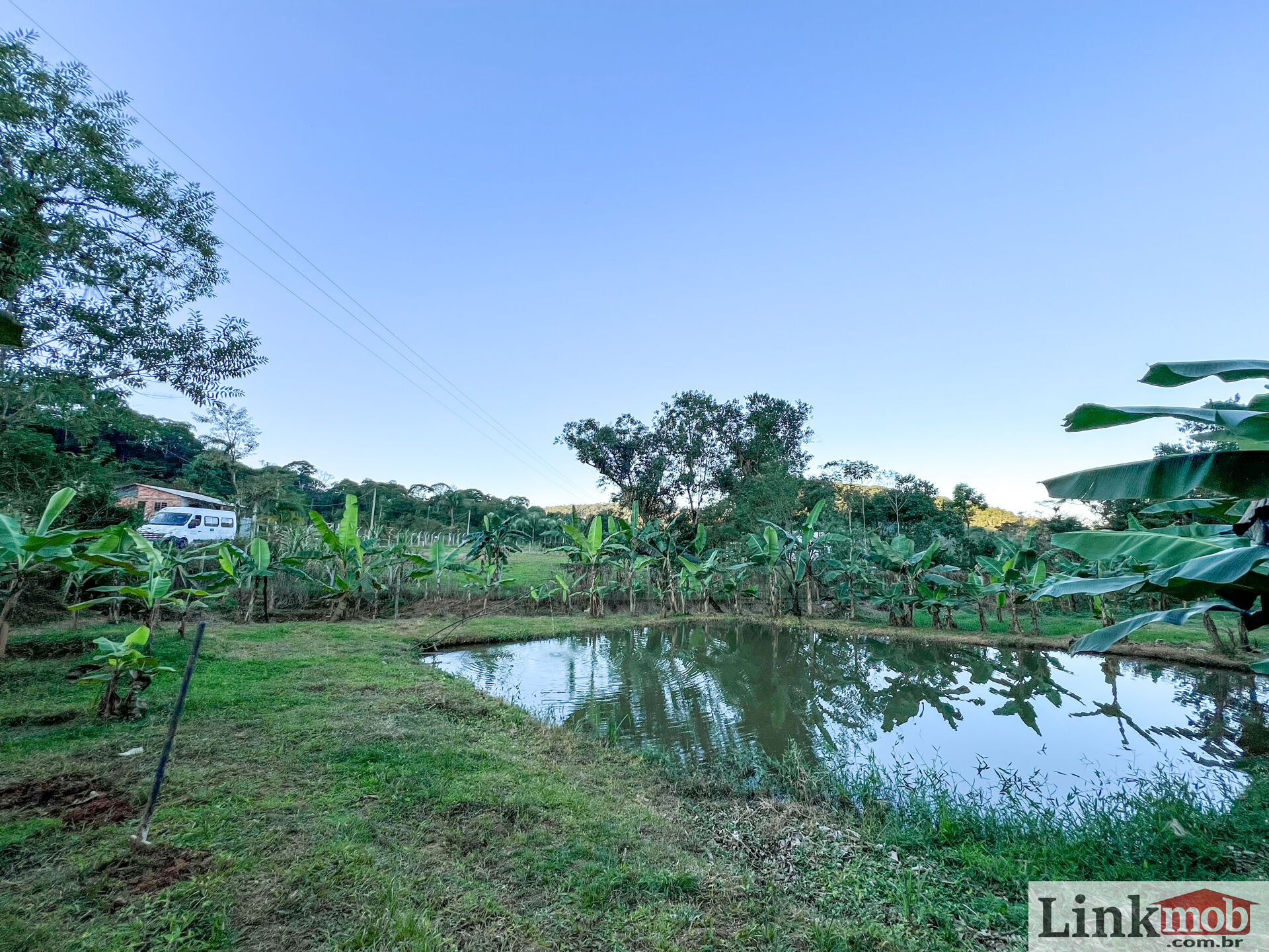 Fazenda à venda com 3 quartos, 3000m² - Foto 24