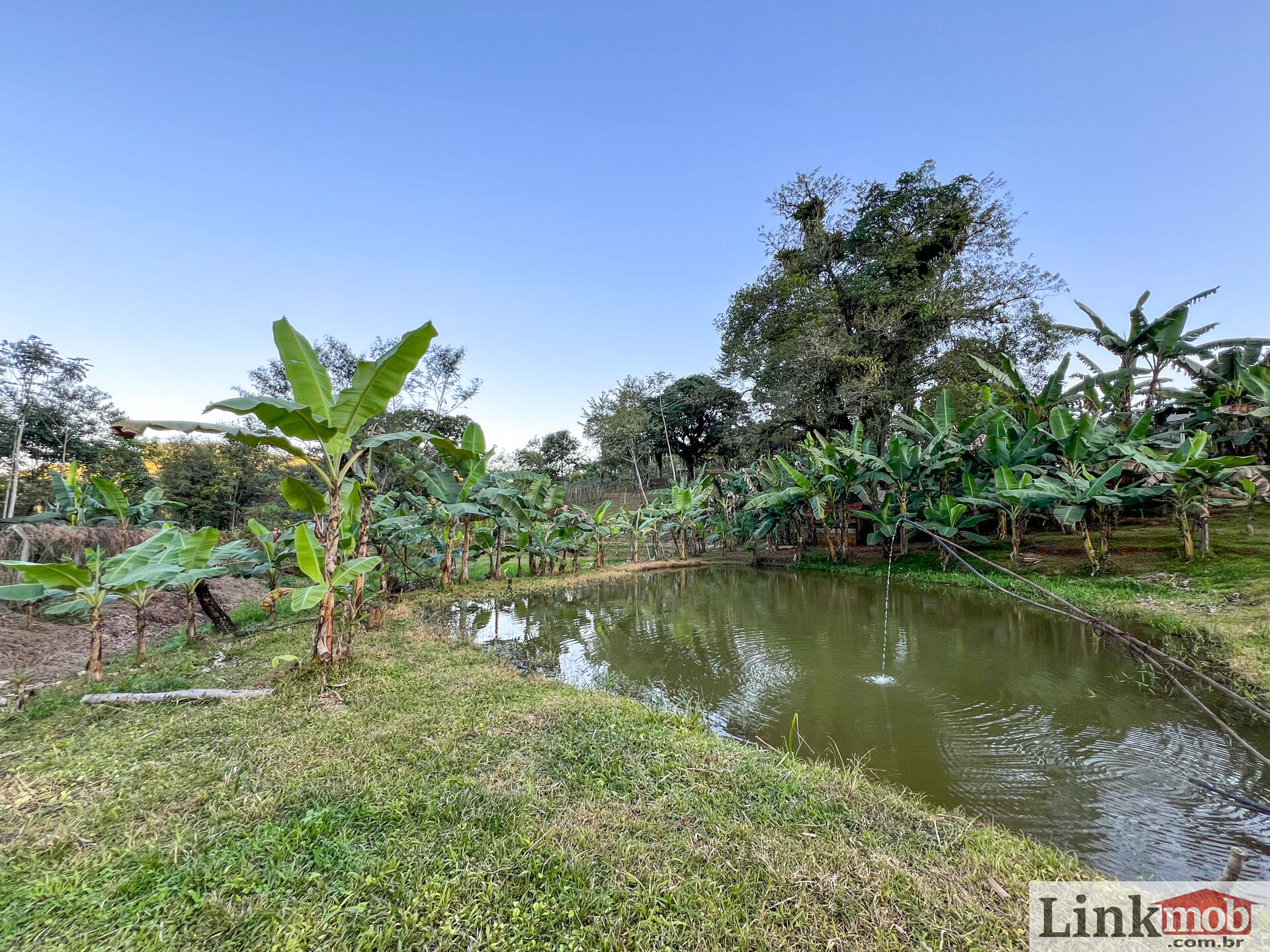 Fazenda à venda com 3 quartos, 3000m² - Foto 27