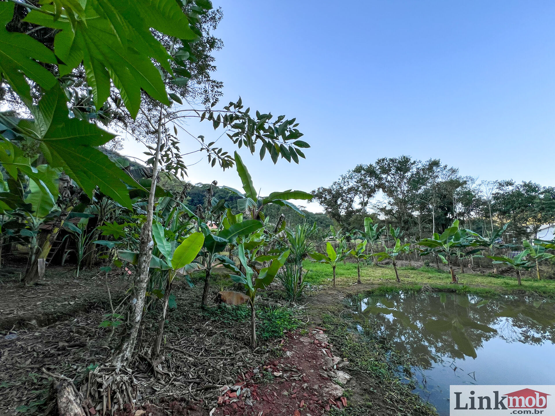 Fazenda à venda com 3 quartos, 3000m² - Foto 28