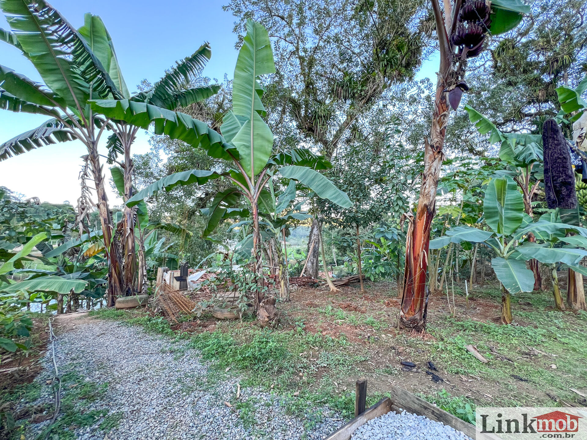 Fazenda à venda com 3 quartos, 3000m² - Foto 17