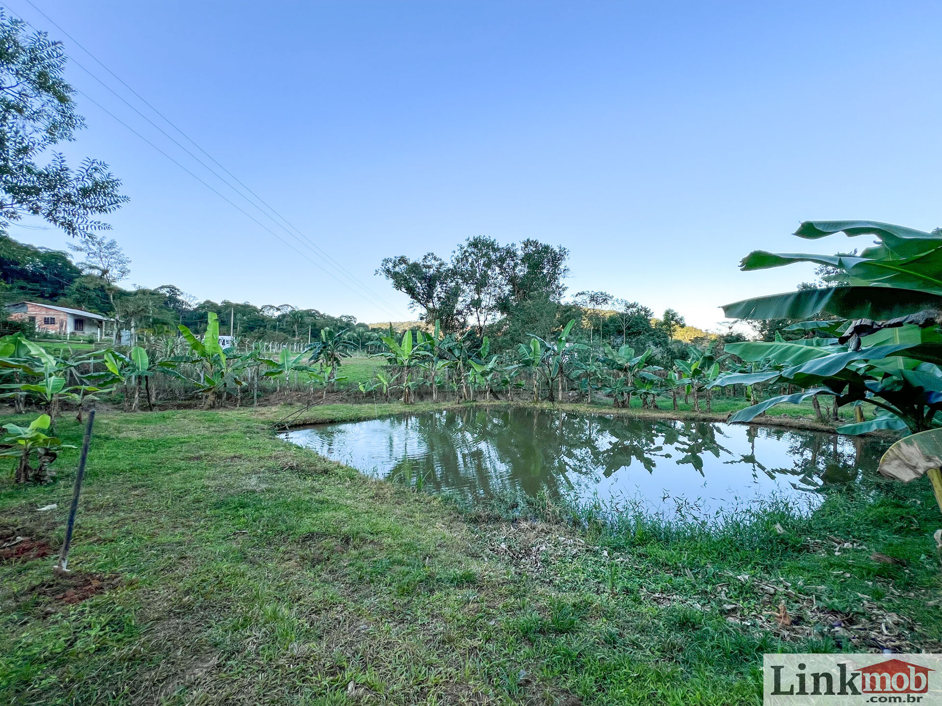 Fazenda à venda com 3 quartos, 3000m² - Foto 23