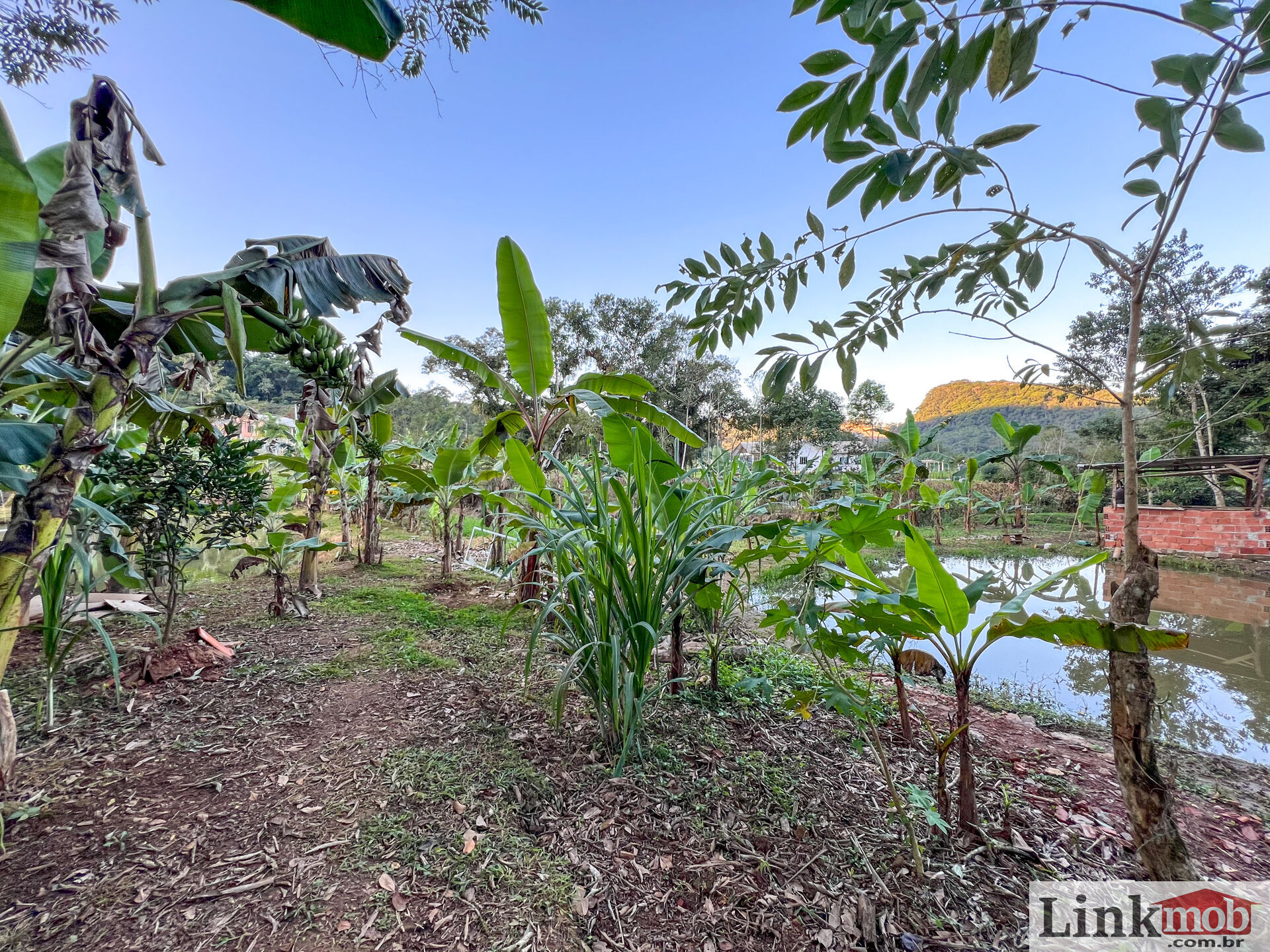 Fazenda à venda com 3 quartos, 3000m² - Foto 20