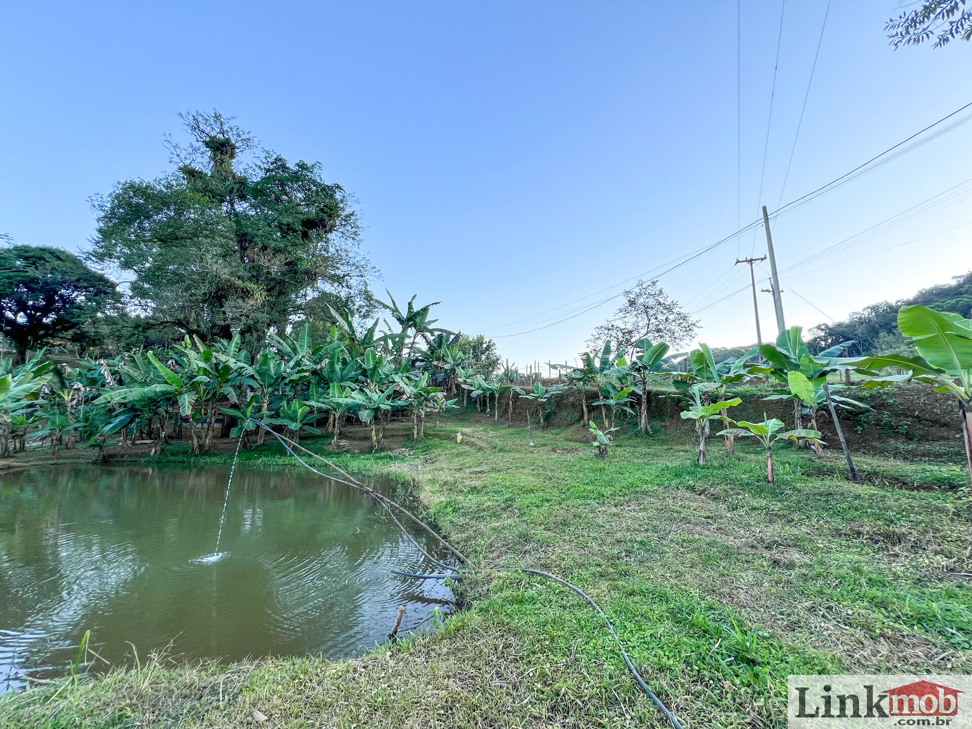 Fazenda à venda com 3 quartos, 3000m² - Foto 26