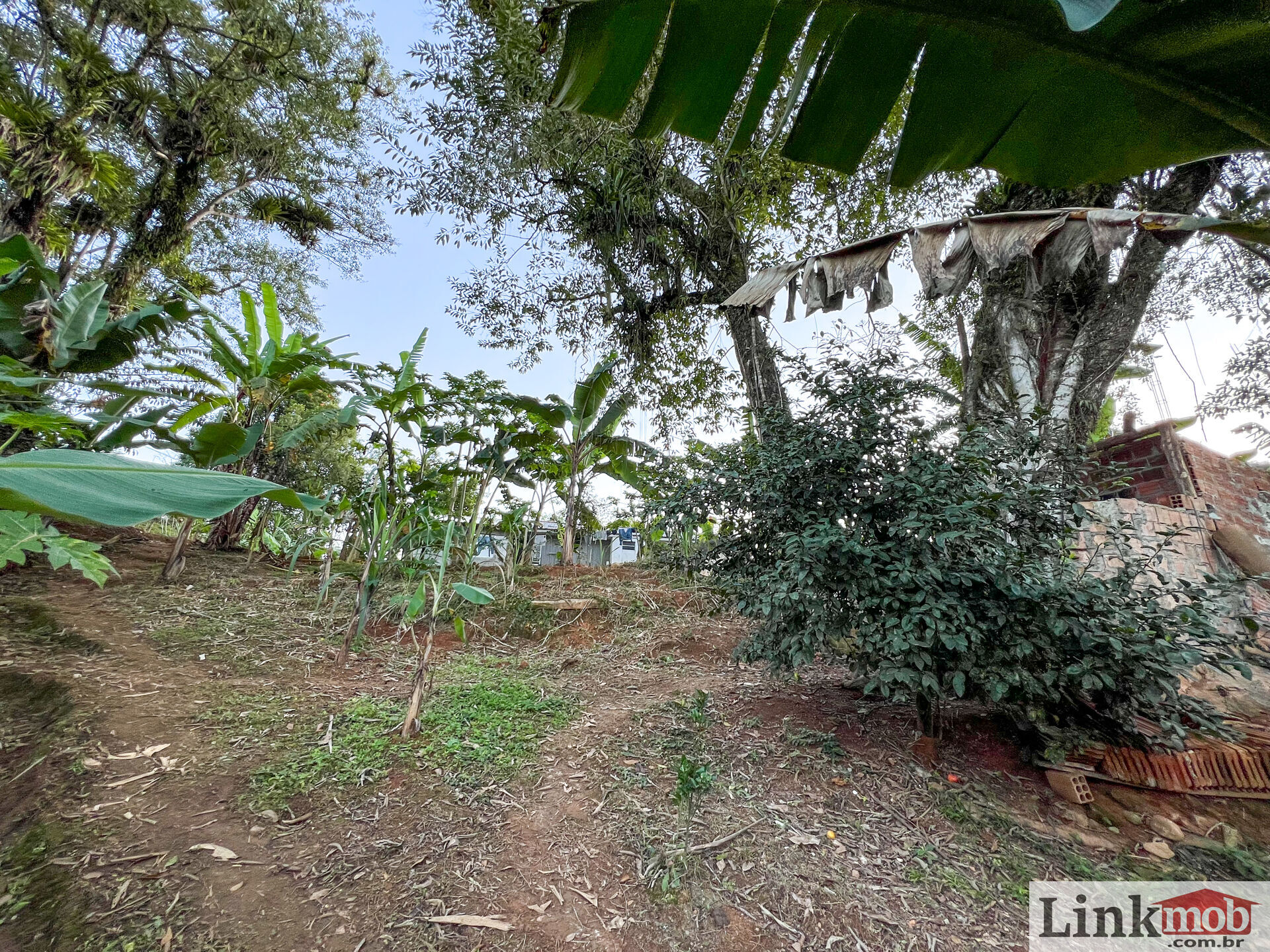 Fazenda à venda com 3 quartos, 3000m² - Foto 21