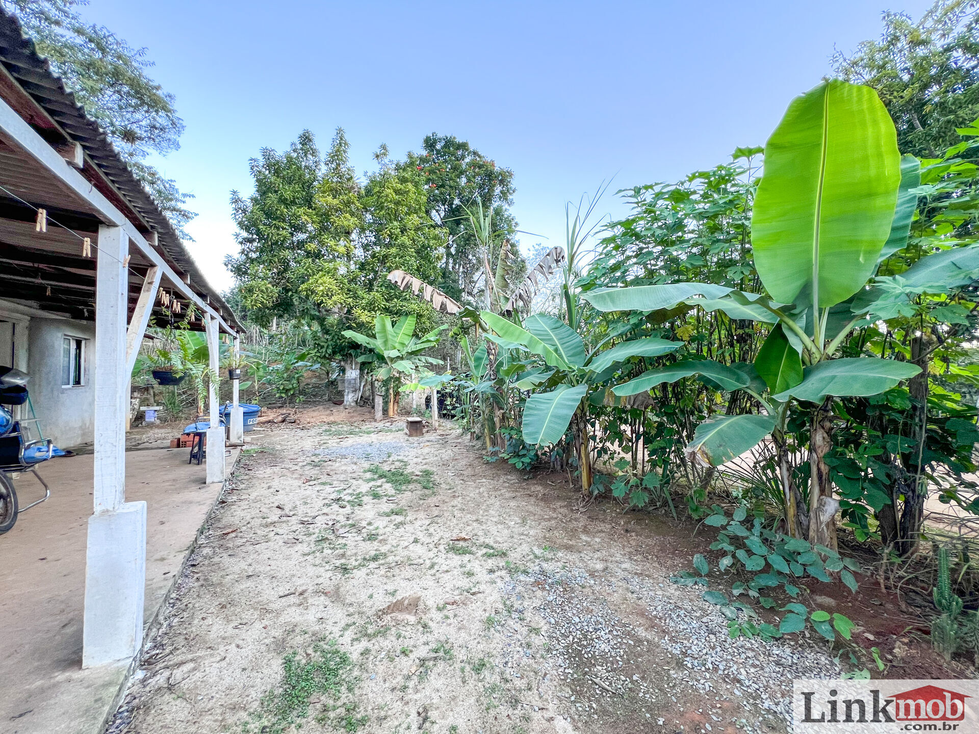 Fazenda à venda com 3 quartos, 3000m² - Foto 8