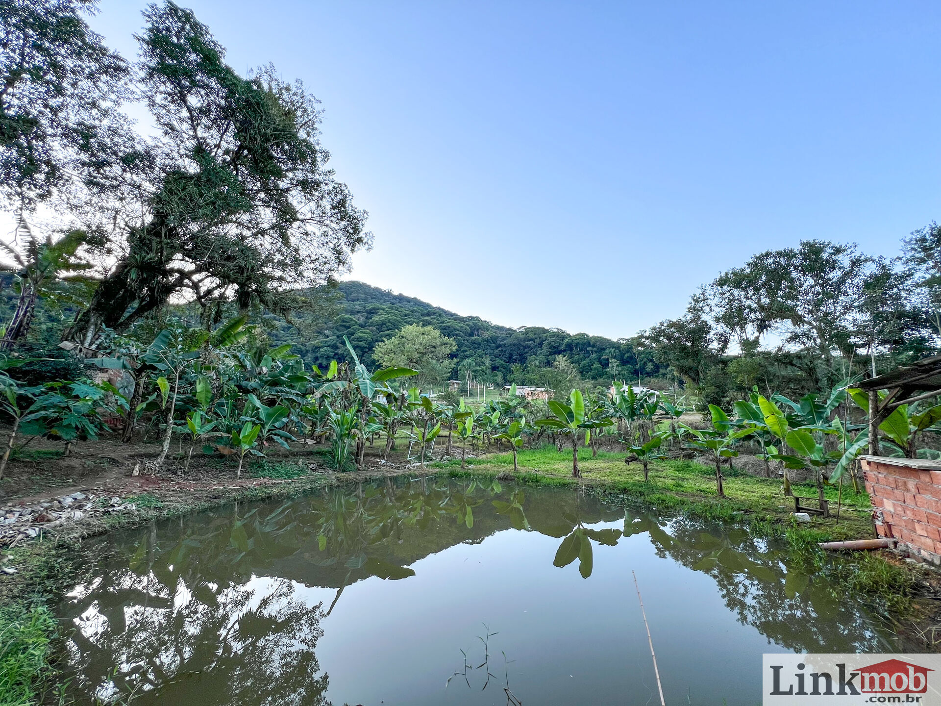 Fazenda à venda com 3 quartos, 3000m² - Foto 29