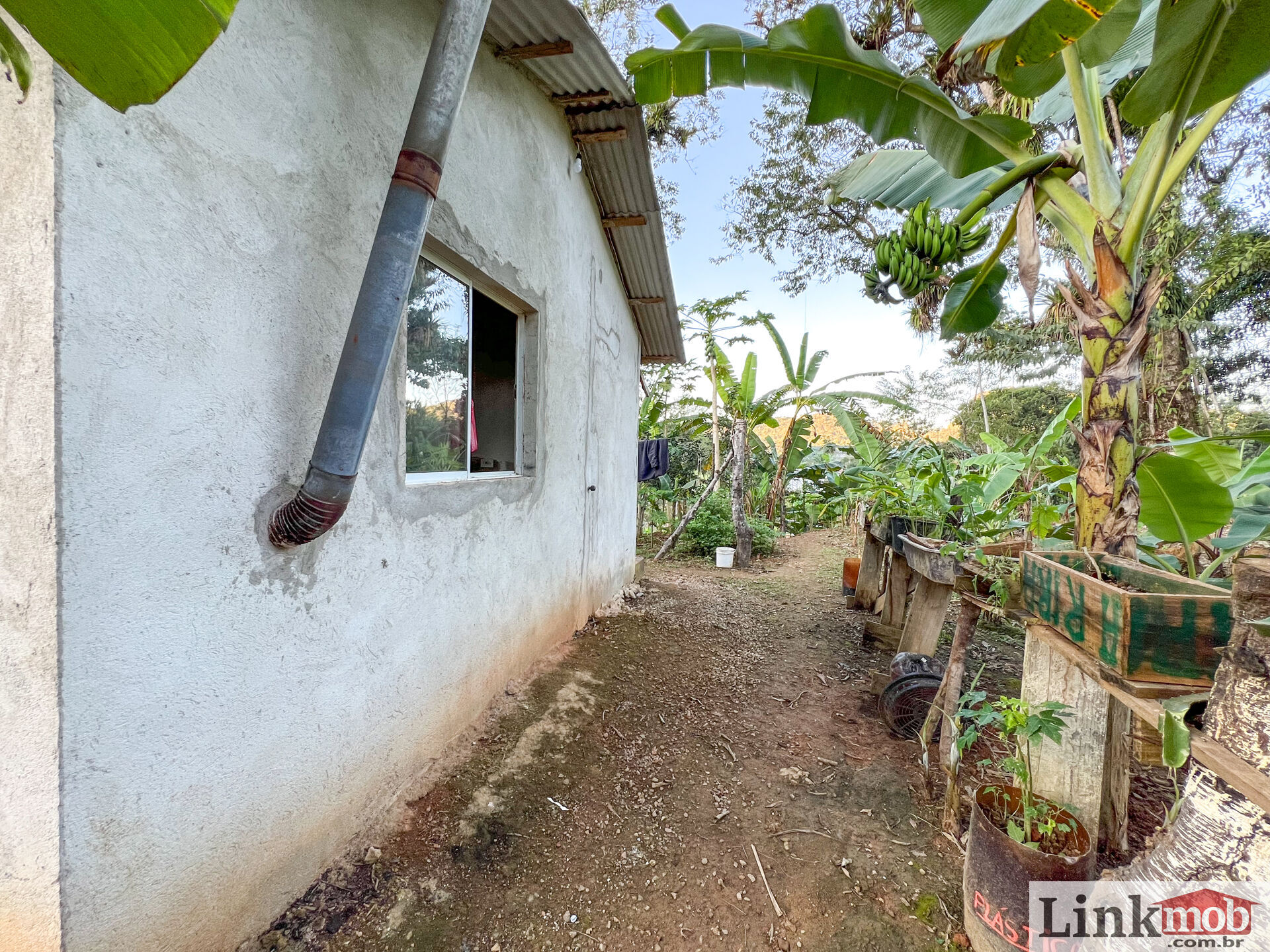 Fazenda à venda com 3 quartos, 3000m² - Foto 15