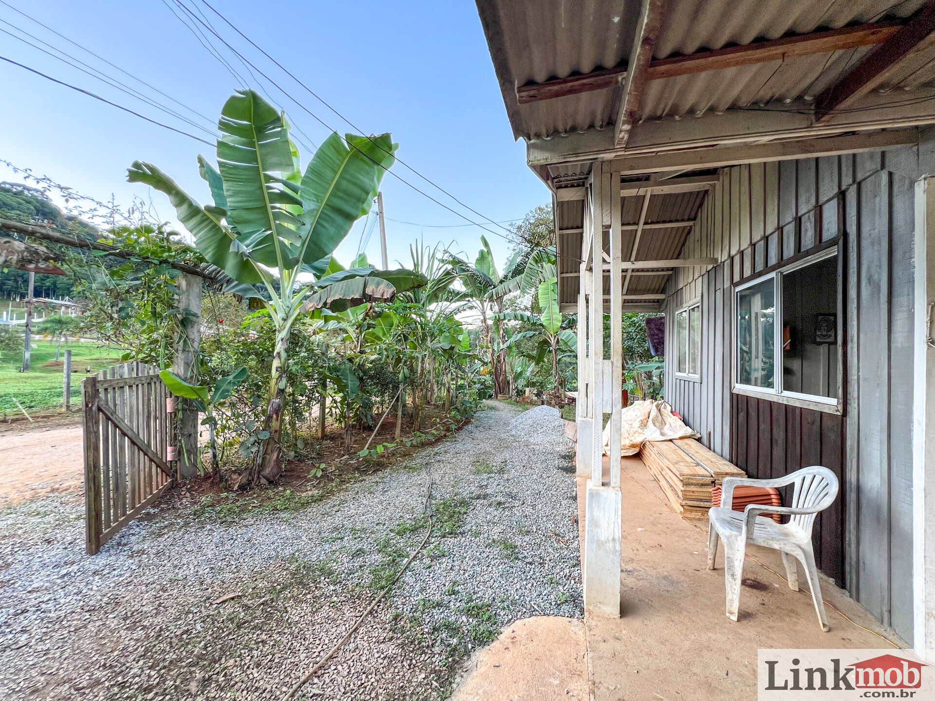 Fazenda à venda com 3 quartos, 3000m² - Foto 4