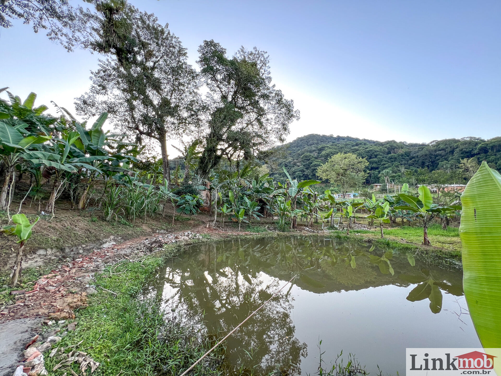 Fazenda à venda com 3 quartos, 3000m² - Foto 31