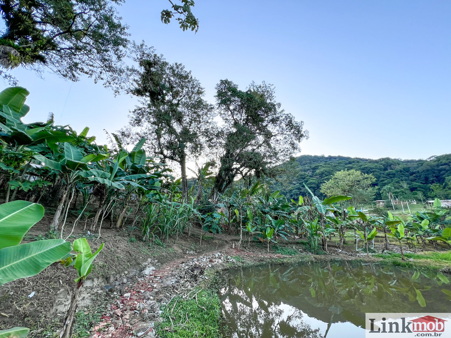 Fazenda à venda com 3 quartos, 3000m² - Foto 30