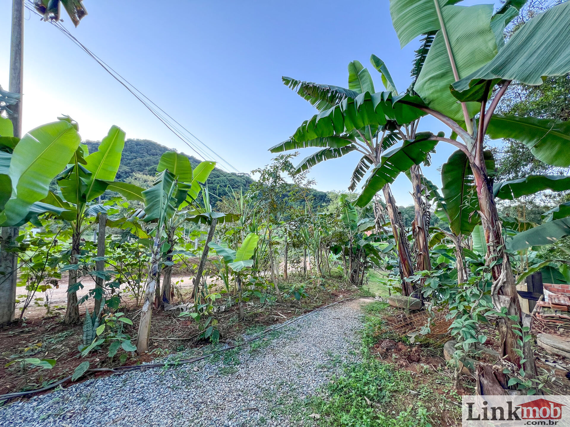 Fazenda à venda com 3 quartos, 3000m² - Foto 18