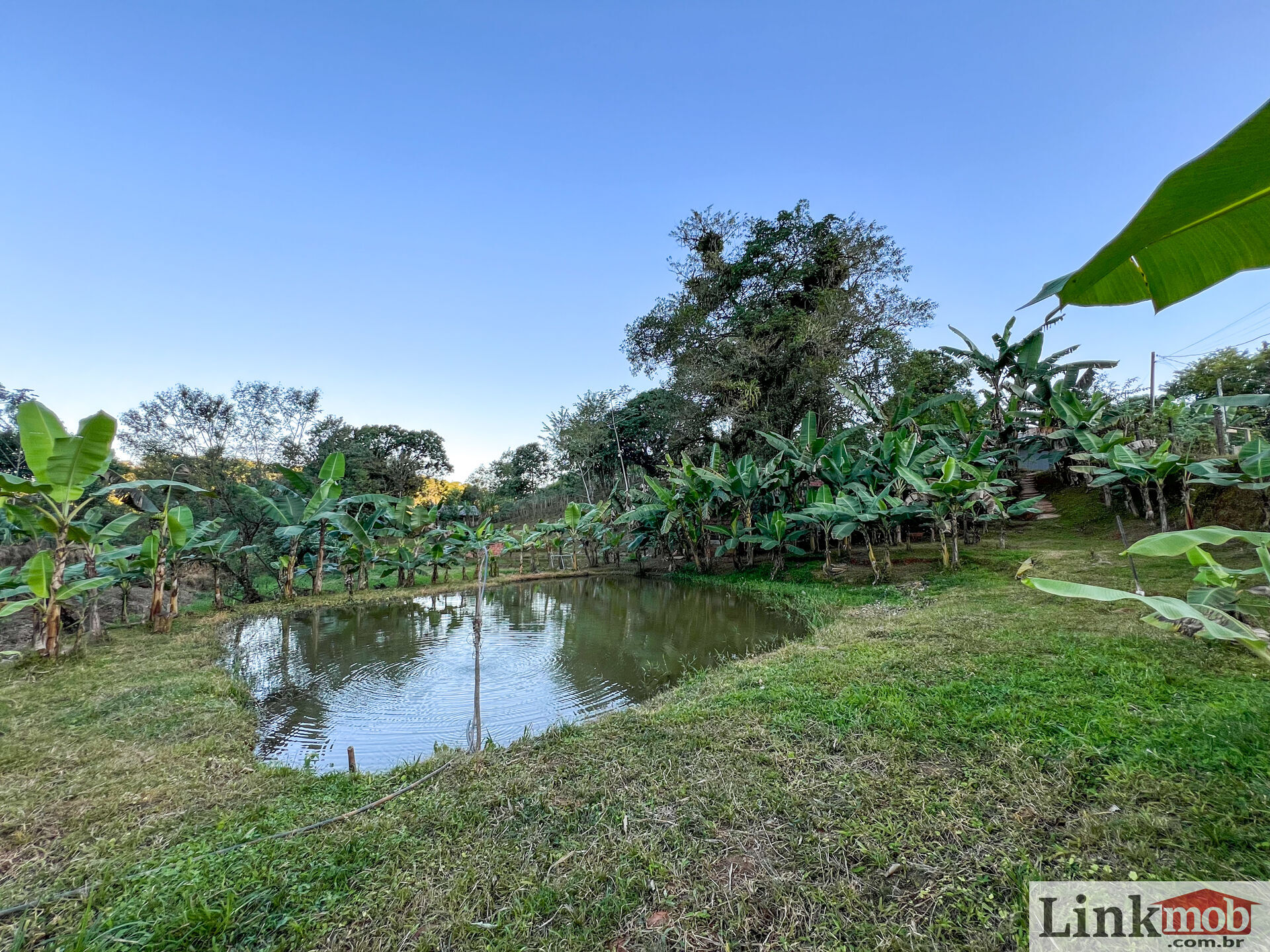 Fazenda à venda com 3 quartos, 3000m² - Foto 25