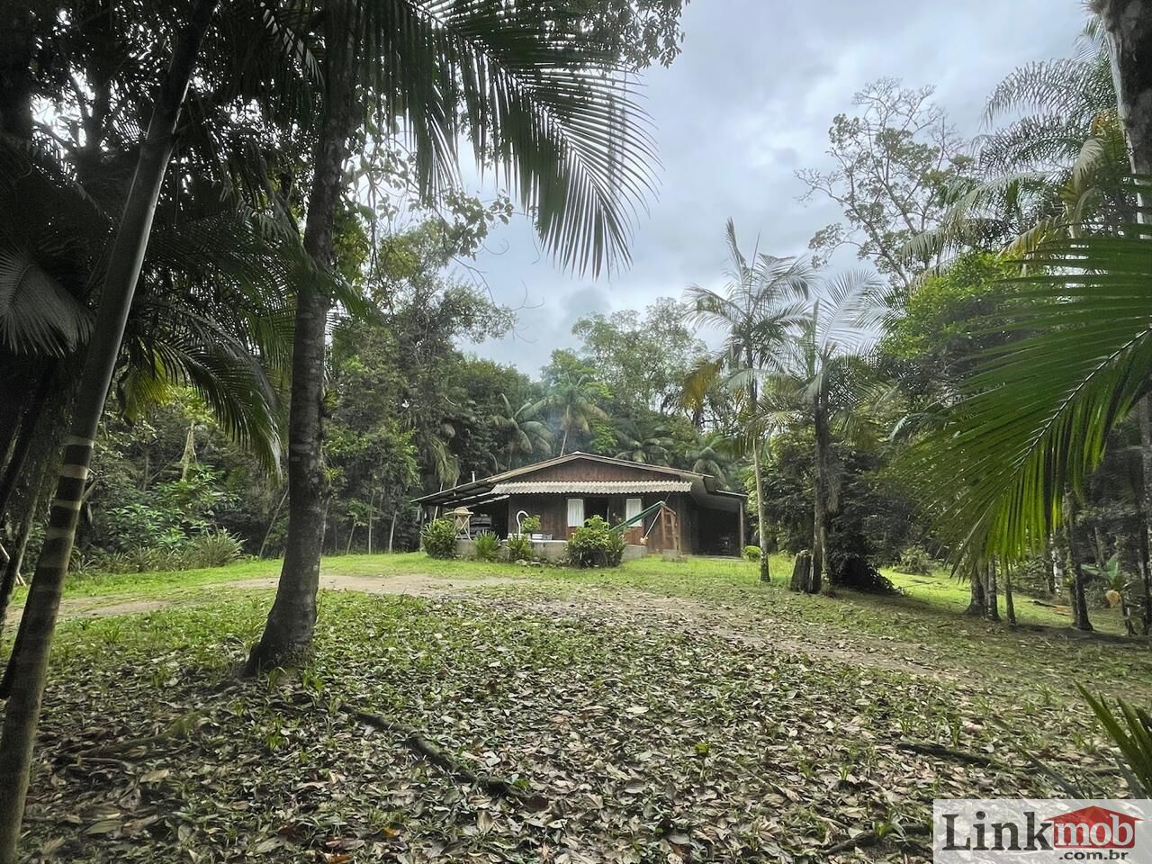 Fazenda à venda com 7 quartos, 16900m² - Foto 14