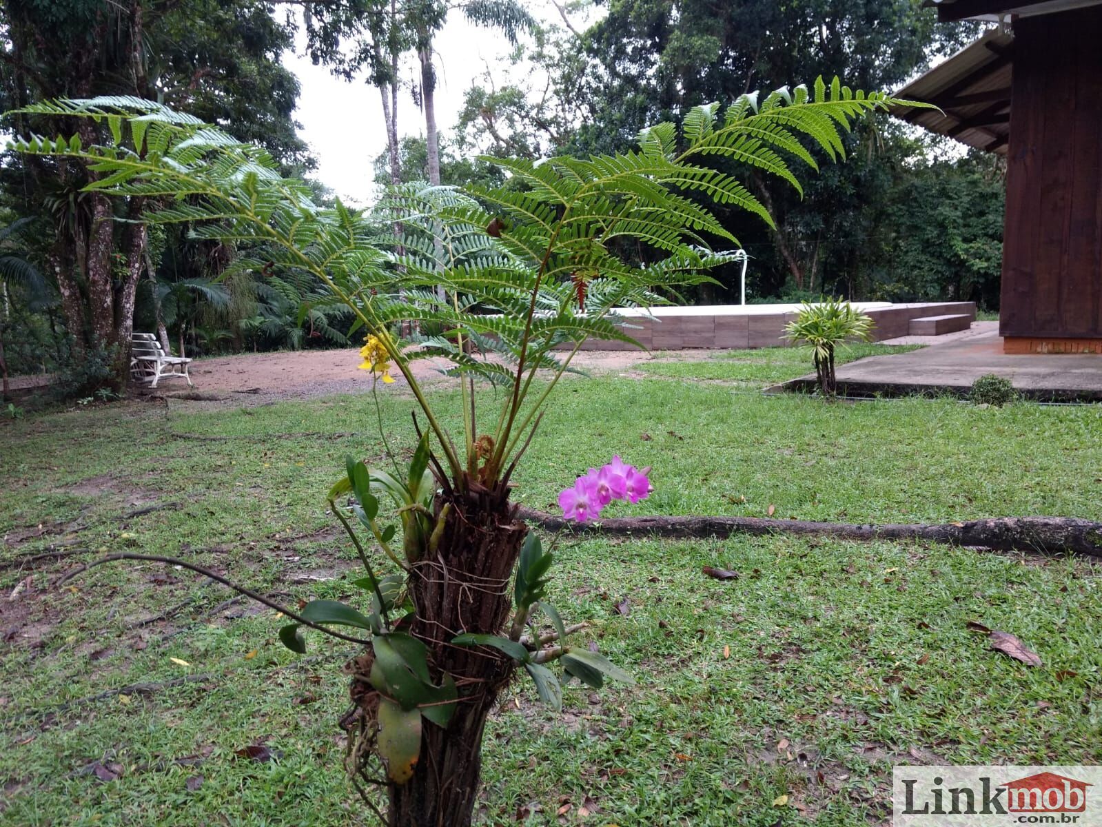 Fazenda à venda com 7 quartos, 16900m² - Foto 25