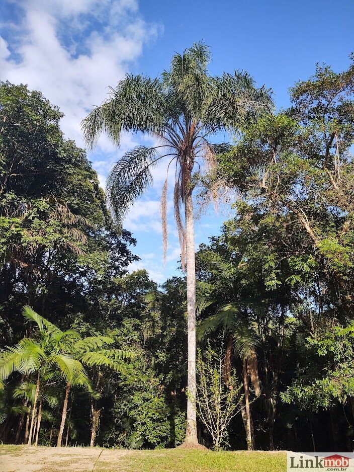 Fazenda à venda com 7 quartos, 16900m² - Foto 30