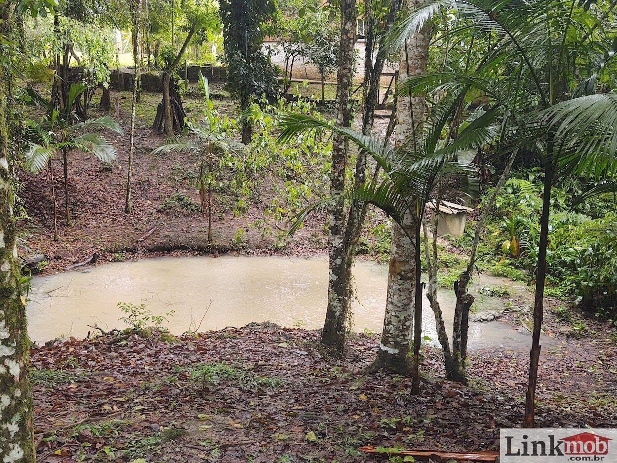 Fazenda à venda com 7 quartos, 16900m² - Foto 41