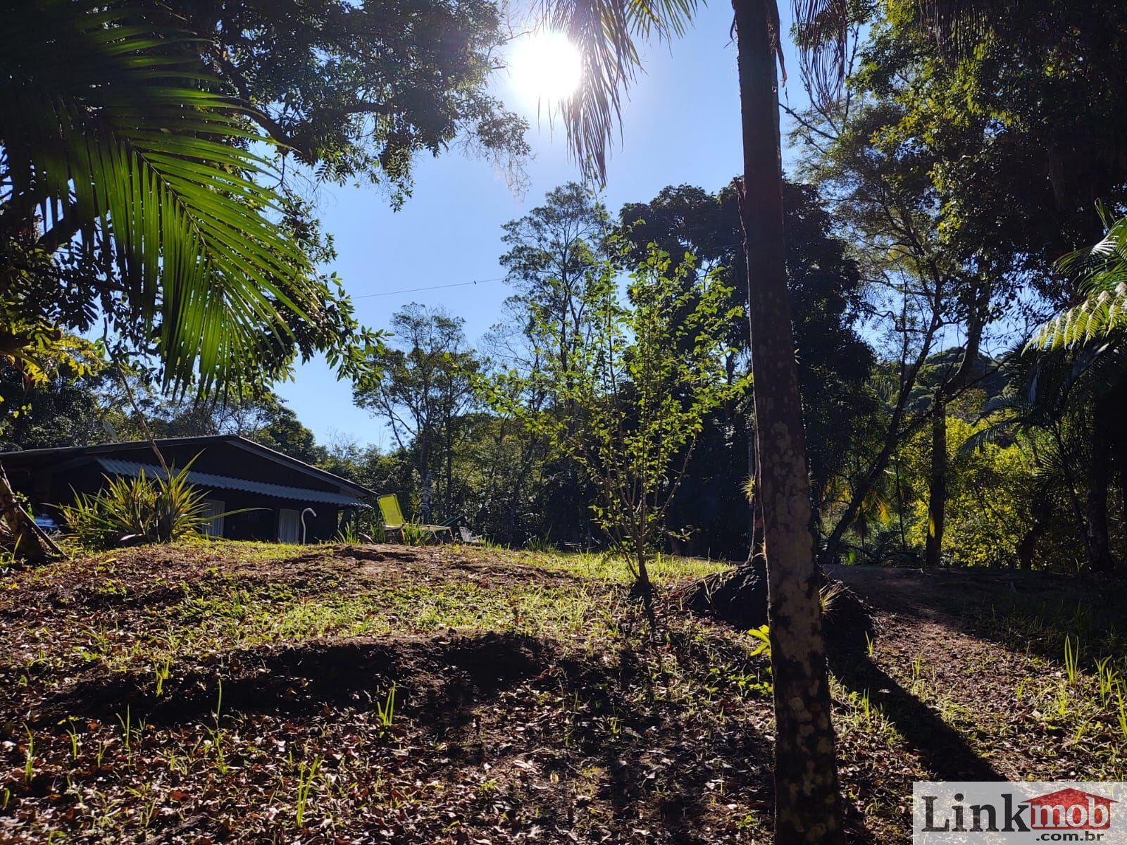 Fazenda à venda com 7 quartos, 16900m² - Foto 13