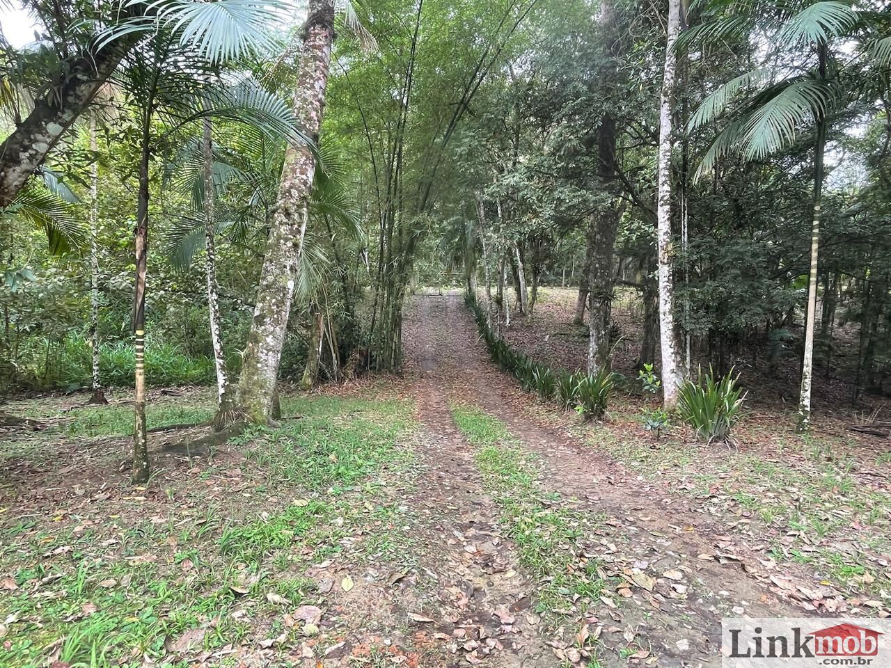 Fazenda à venda com 7 quartos, 16900m² - Foto 1