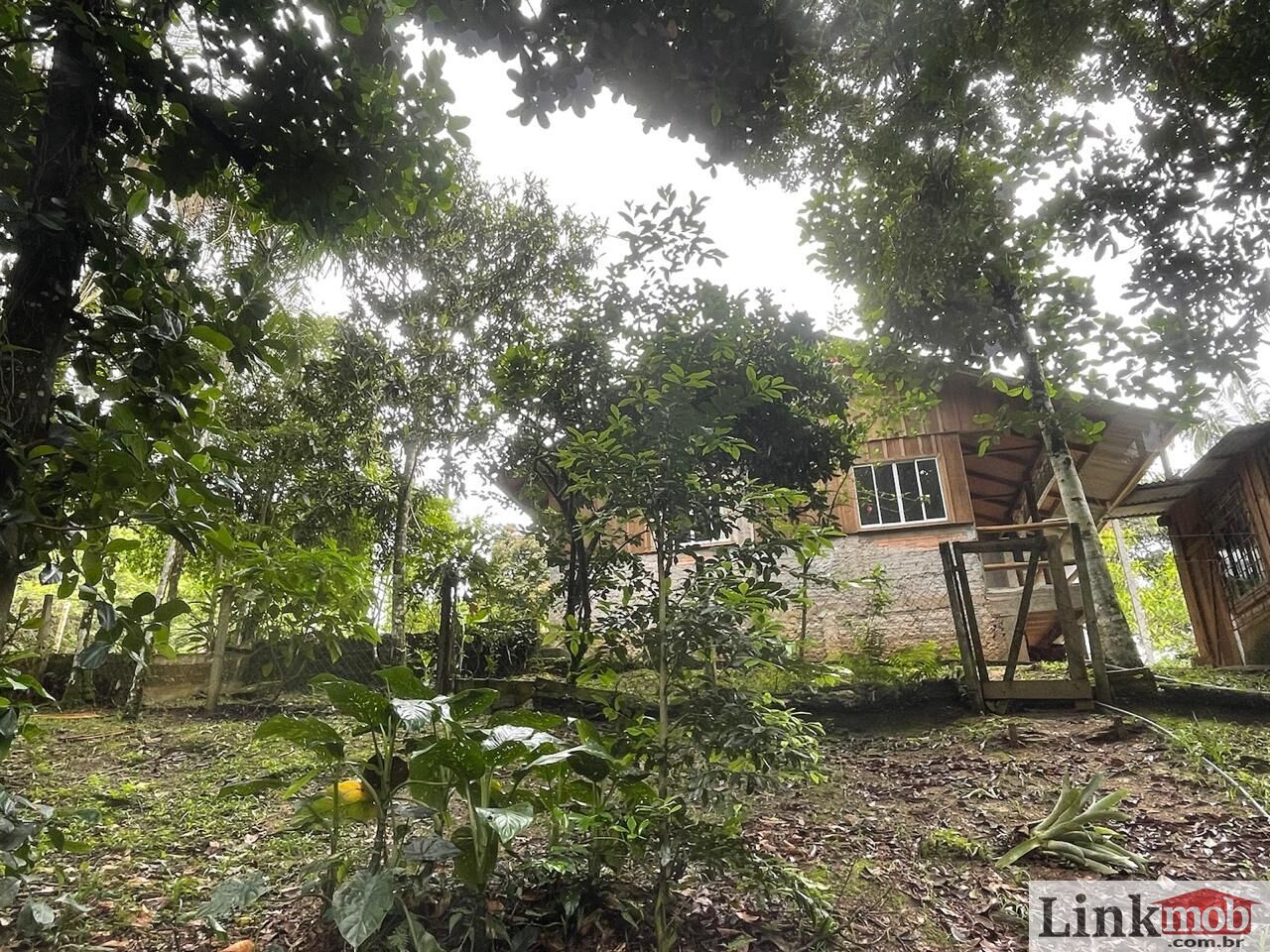 Fazenda à venda com 7 quartos, 16900m² - Foto 12