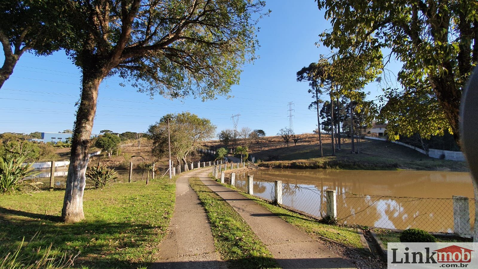 Fazenda à venda com 4 quartos, 30150m² - Foto 8