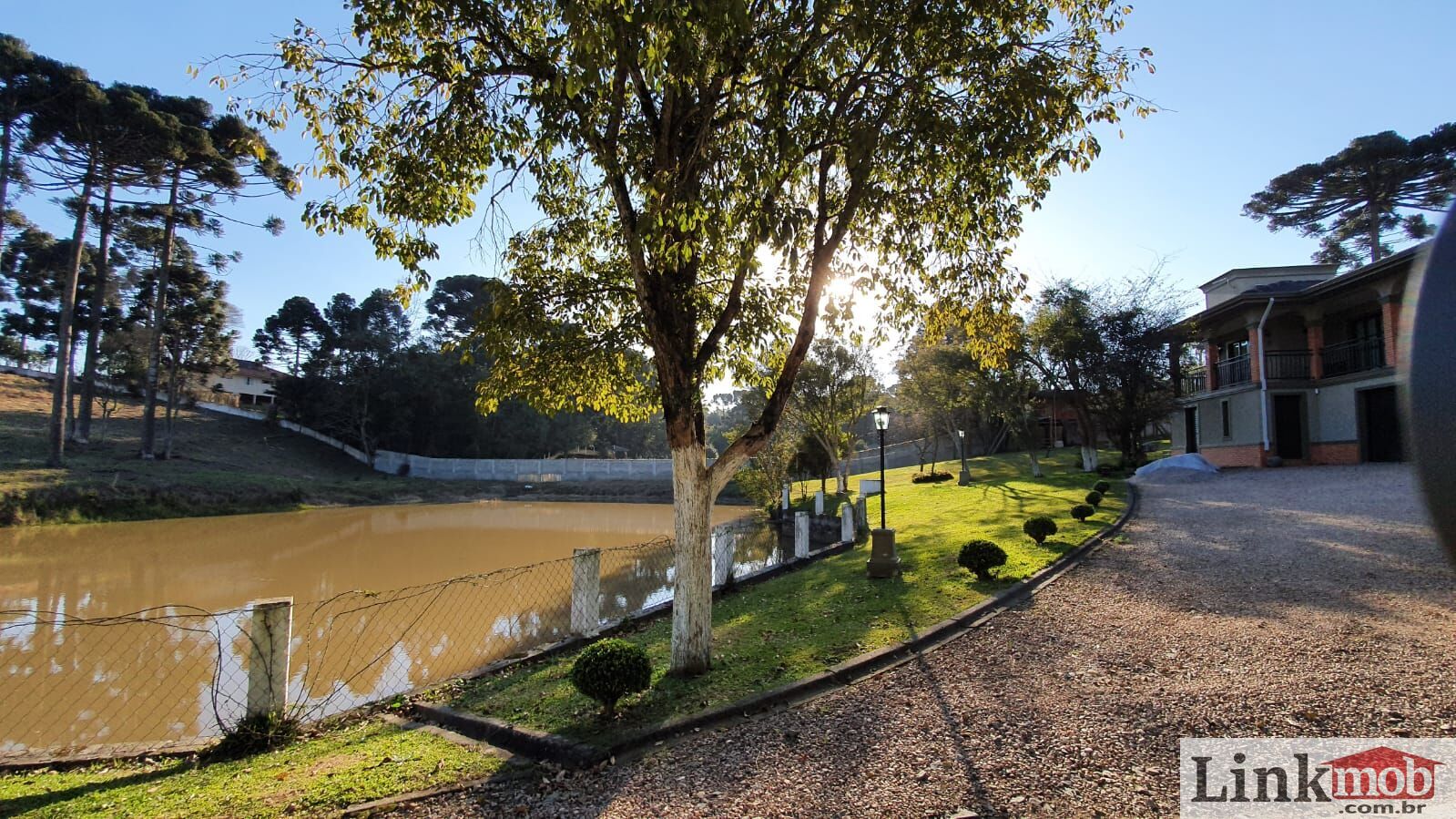 Fazenda à venda com 4 quartos, 30150m² - Foto 9