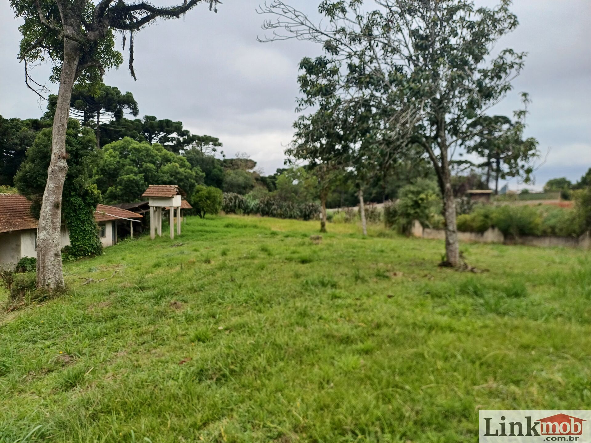 Chácara à venda com 4 quartos, 5485m² - Foto 3