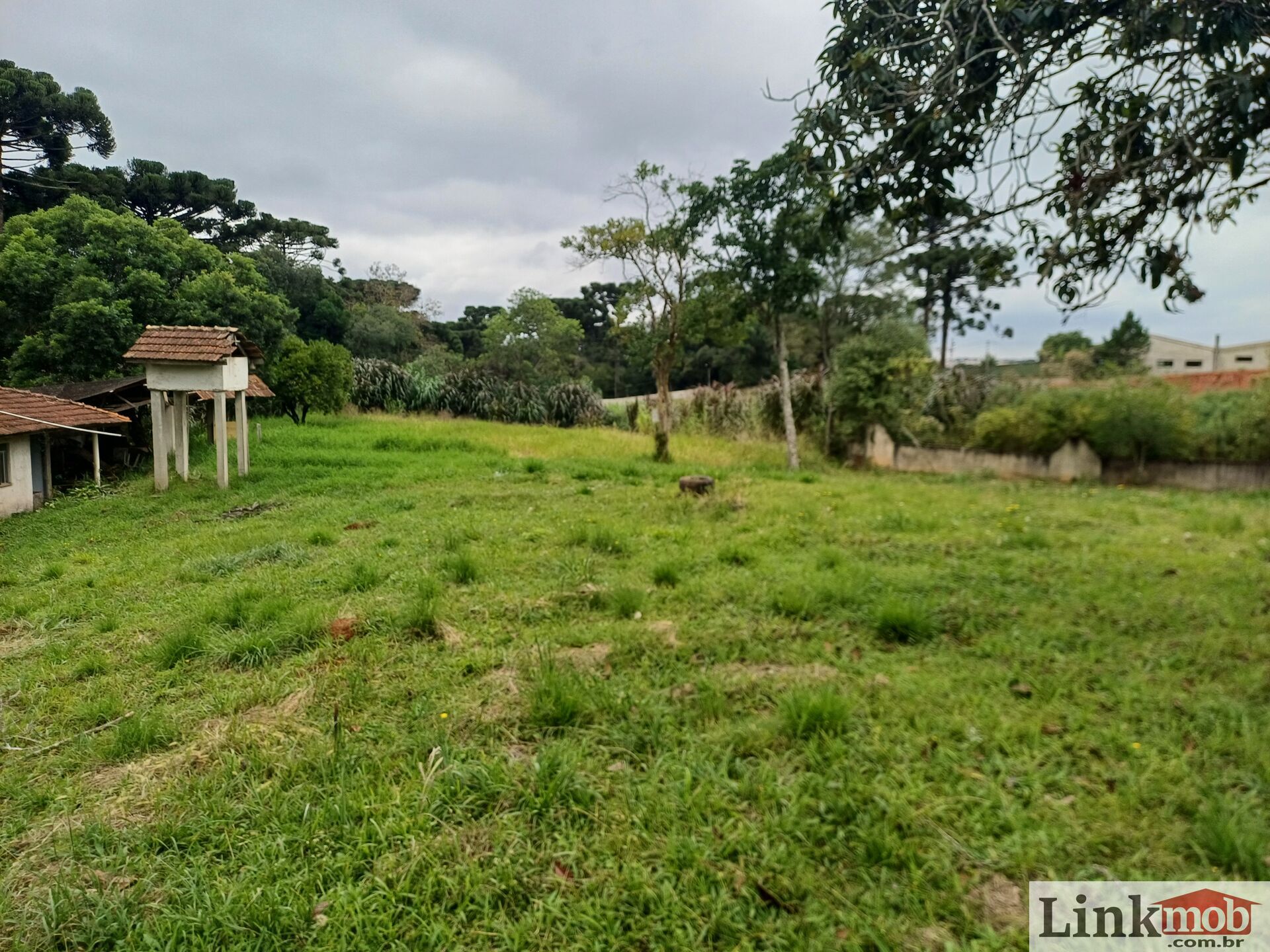 Chácara à venda com 4 quartos, 5485m² - Foto 4