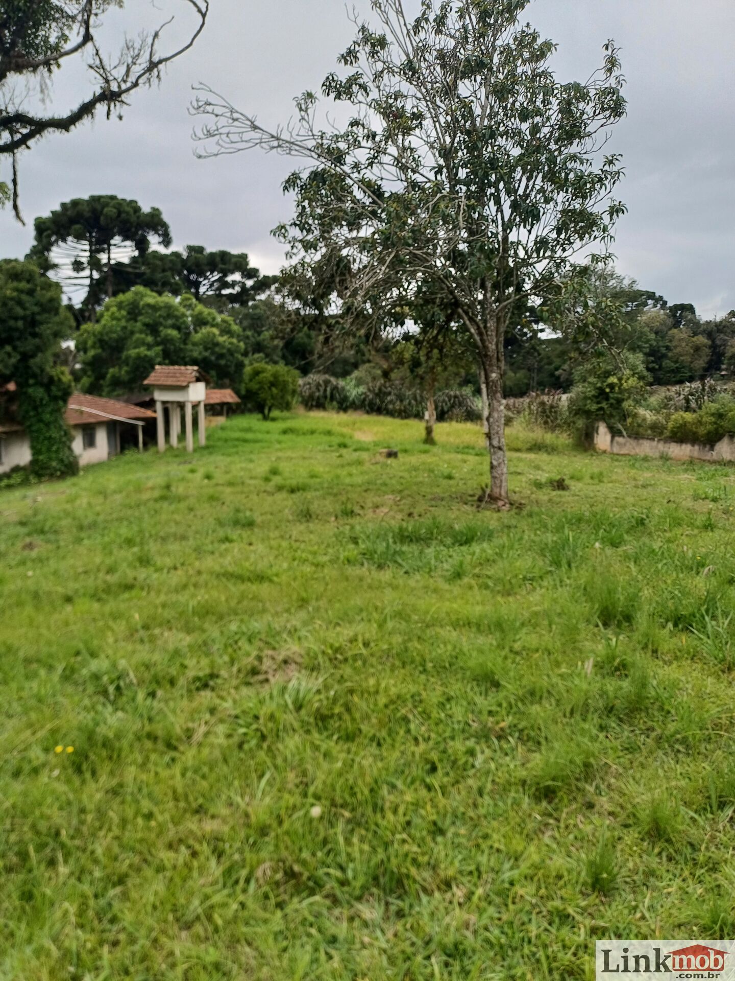 Chácara à venda com 4 quartos, 5485m² - Foto 2