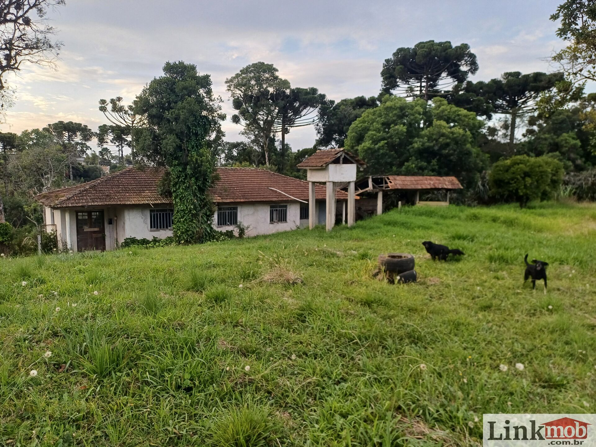 Chácara à venda com 4 quartos, 5485m² - Foto 1