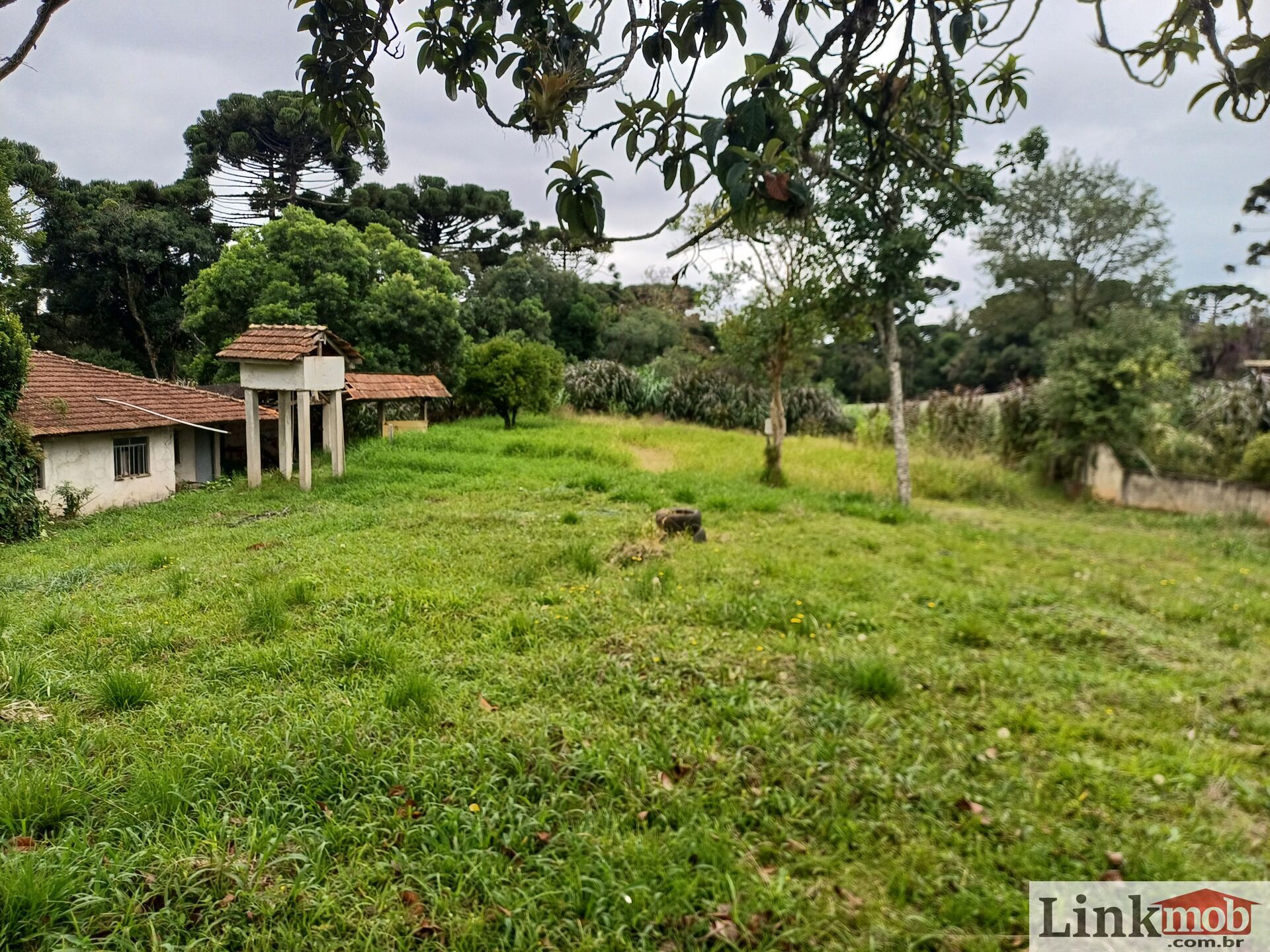 Chácara à venda com 4 quartos, 5485m² - Foto 6