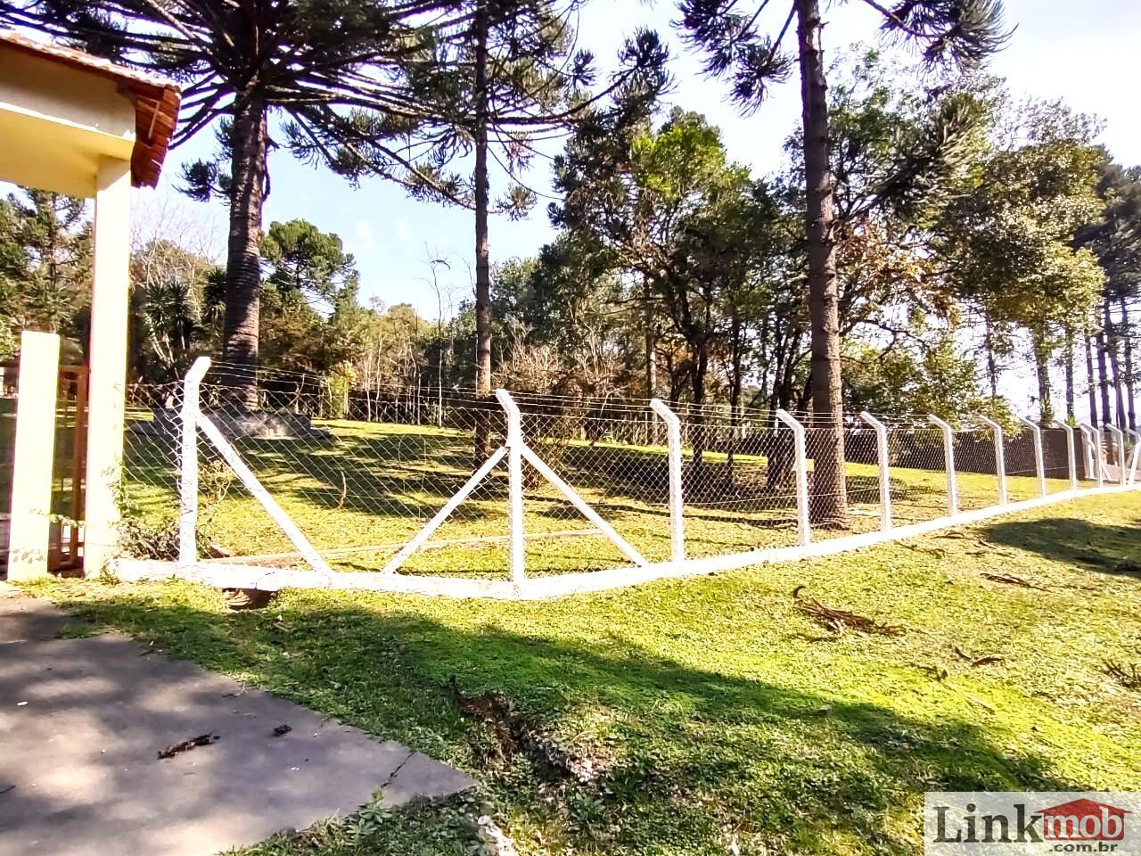 Fazenda à venda com 6 quartos, 107756m² - Foto 15