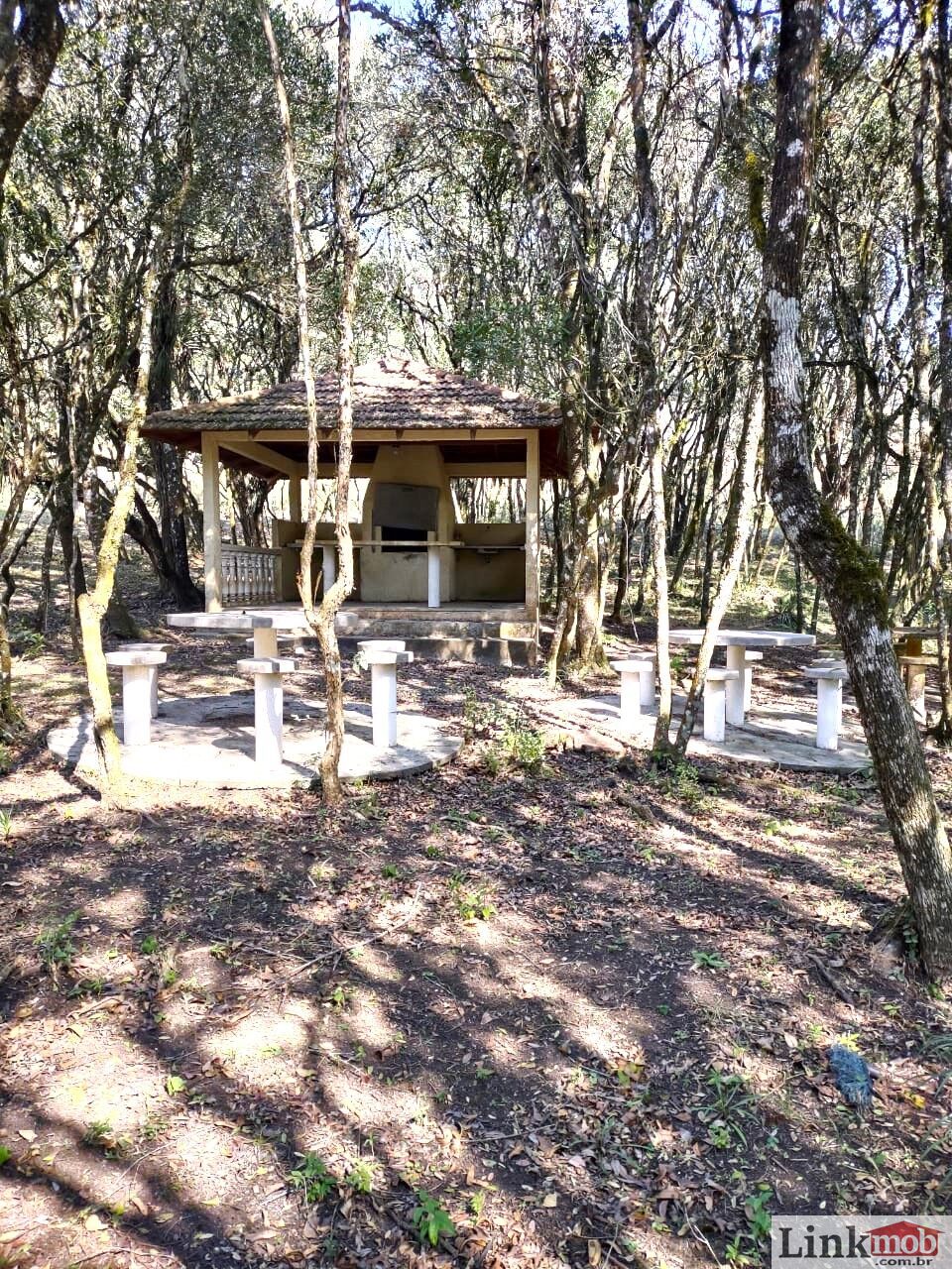 Fazenda à venda com 6 quartos, 107756m² - Foto 25