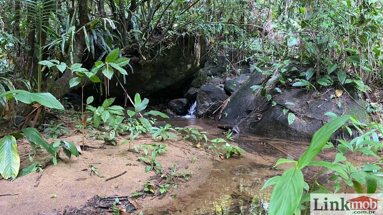 Fazenda à venda com 3 quartos, 1631200m² - Foto 5