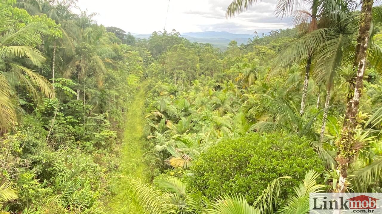 Fazenda à venda com 3 quartos, 1631200m² - Foto 15