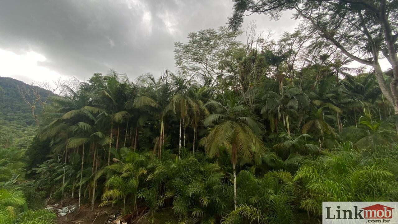 Fazenda à venda com 3 quartos, 1631200m² - Foto 13