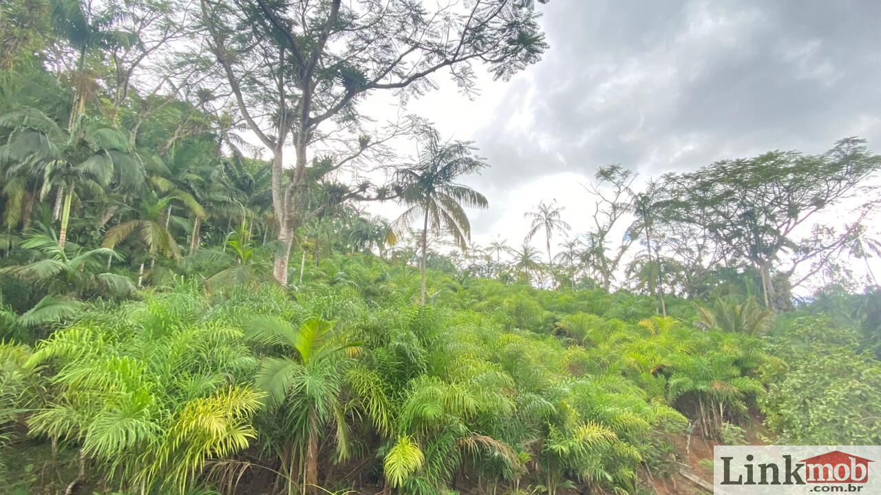 Fazenda à venda com 3 quartos, 1631200m² - Foto 4