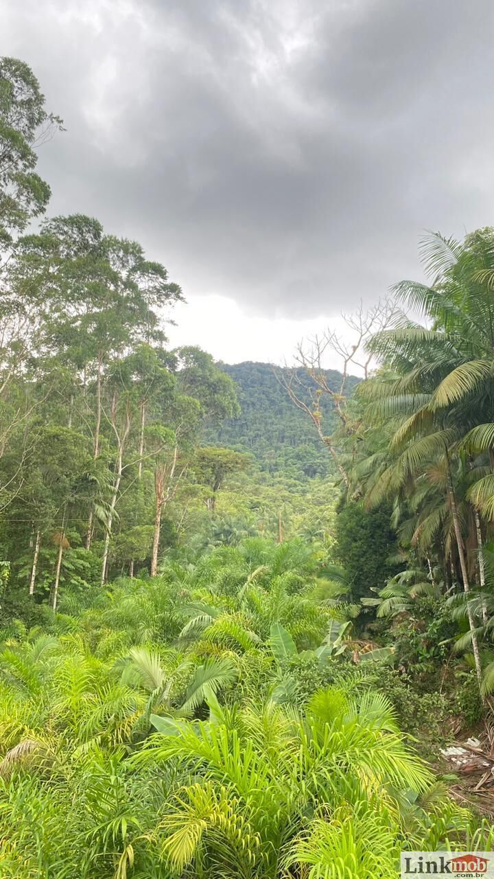 Fazenda à venda com 3 quartos, 1631200m² - Foto 2