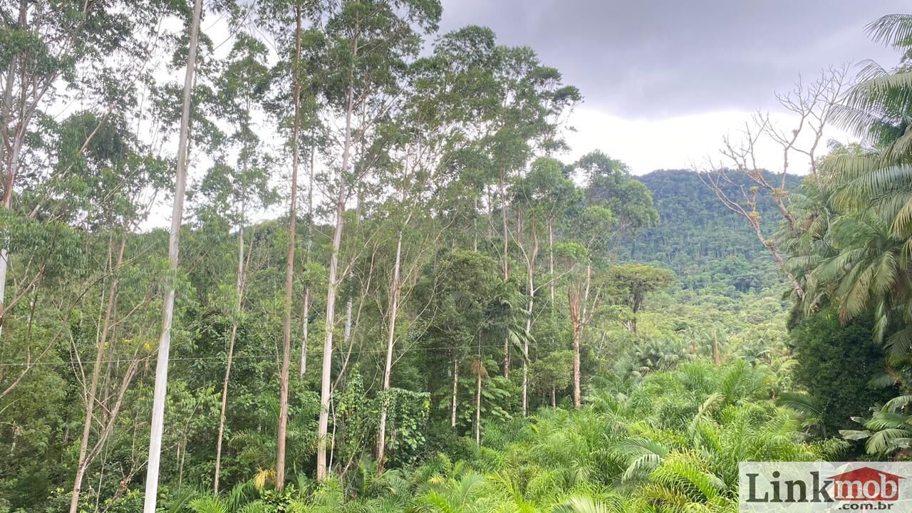 Fazenda à venda com 3 quartos, 1631200m² - Foto 20