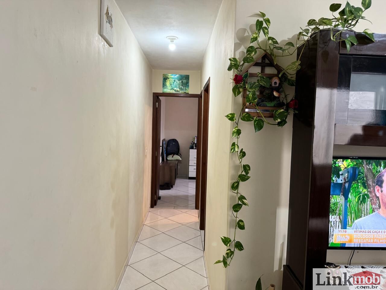 Apartamento à venda com 2 quartos, 55m² - Foto 13