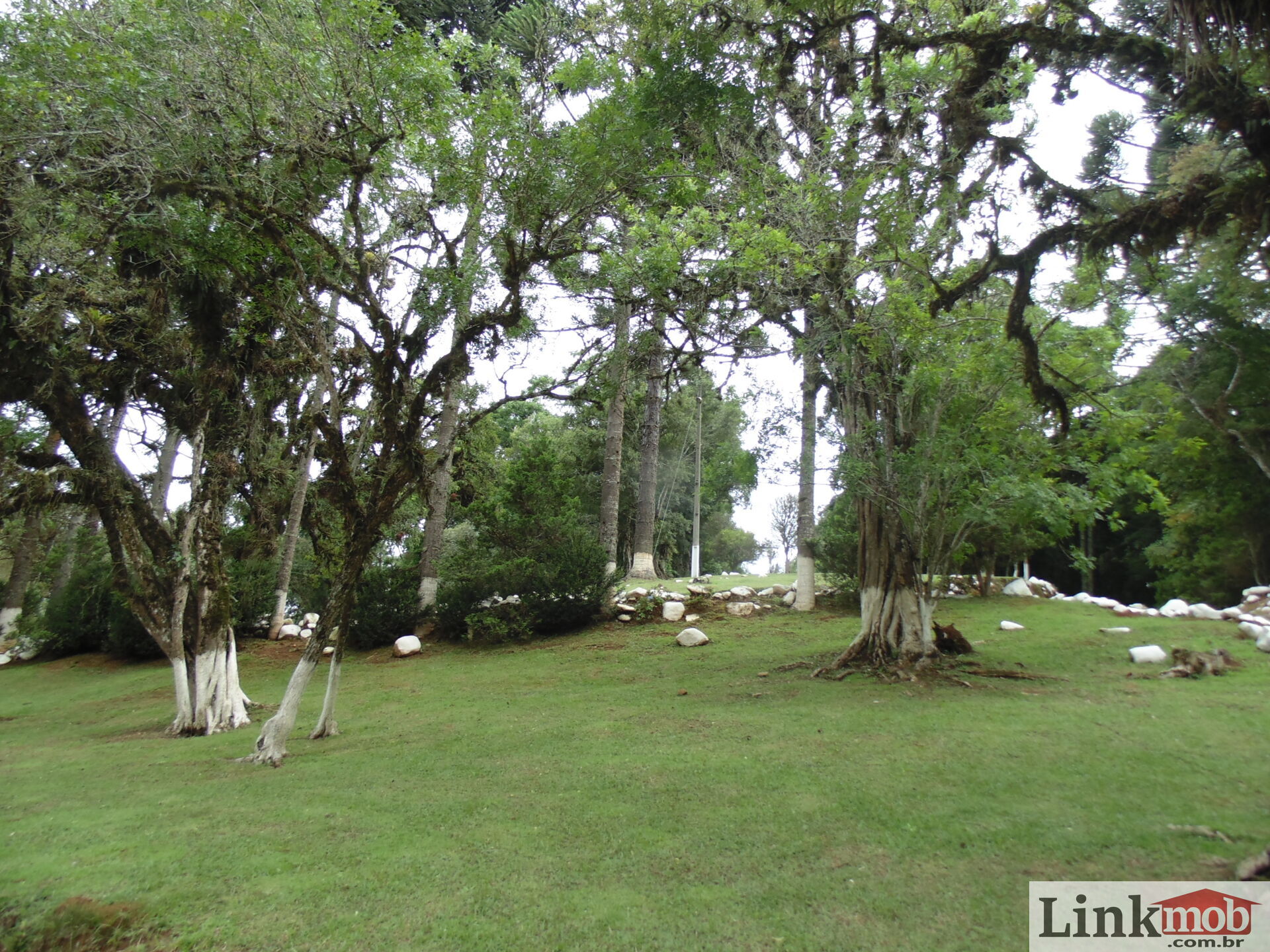 Fazenda à venda com 3 quartos, 3500m² - Foto 43