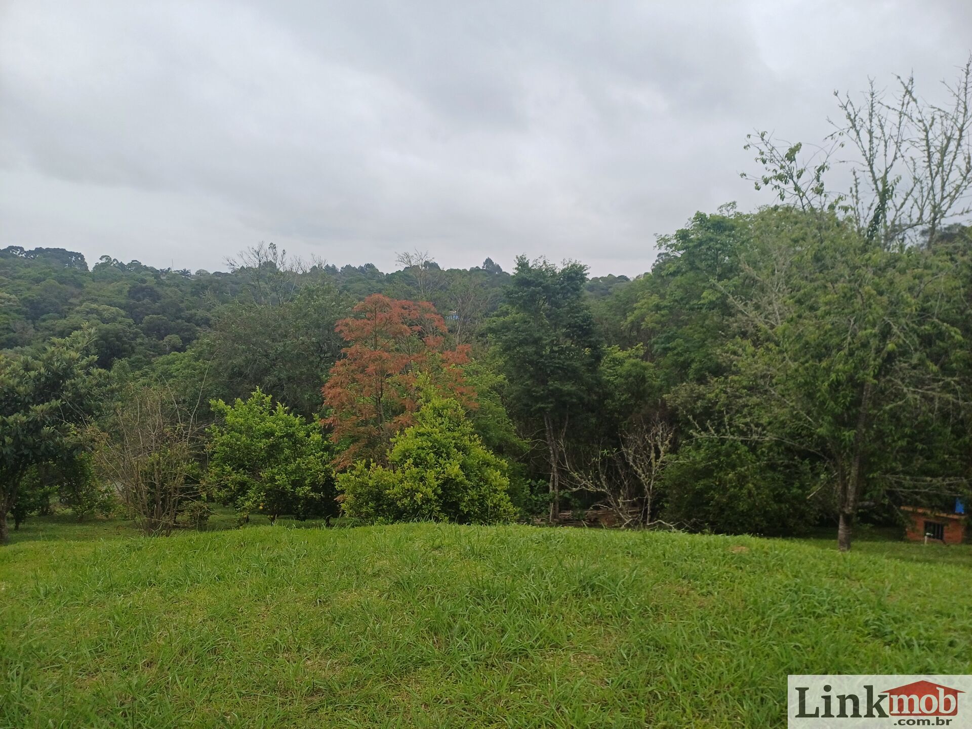 Fazenda à venda com 3 quartos, 3500m² - Foto 39