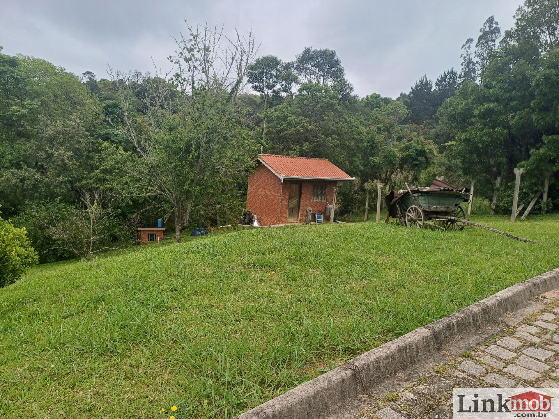 Fazenda à venda com 3 quartos, 3500m² - Foto 37