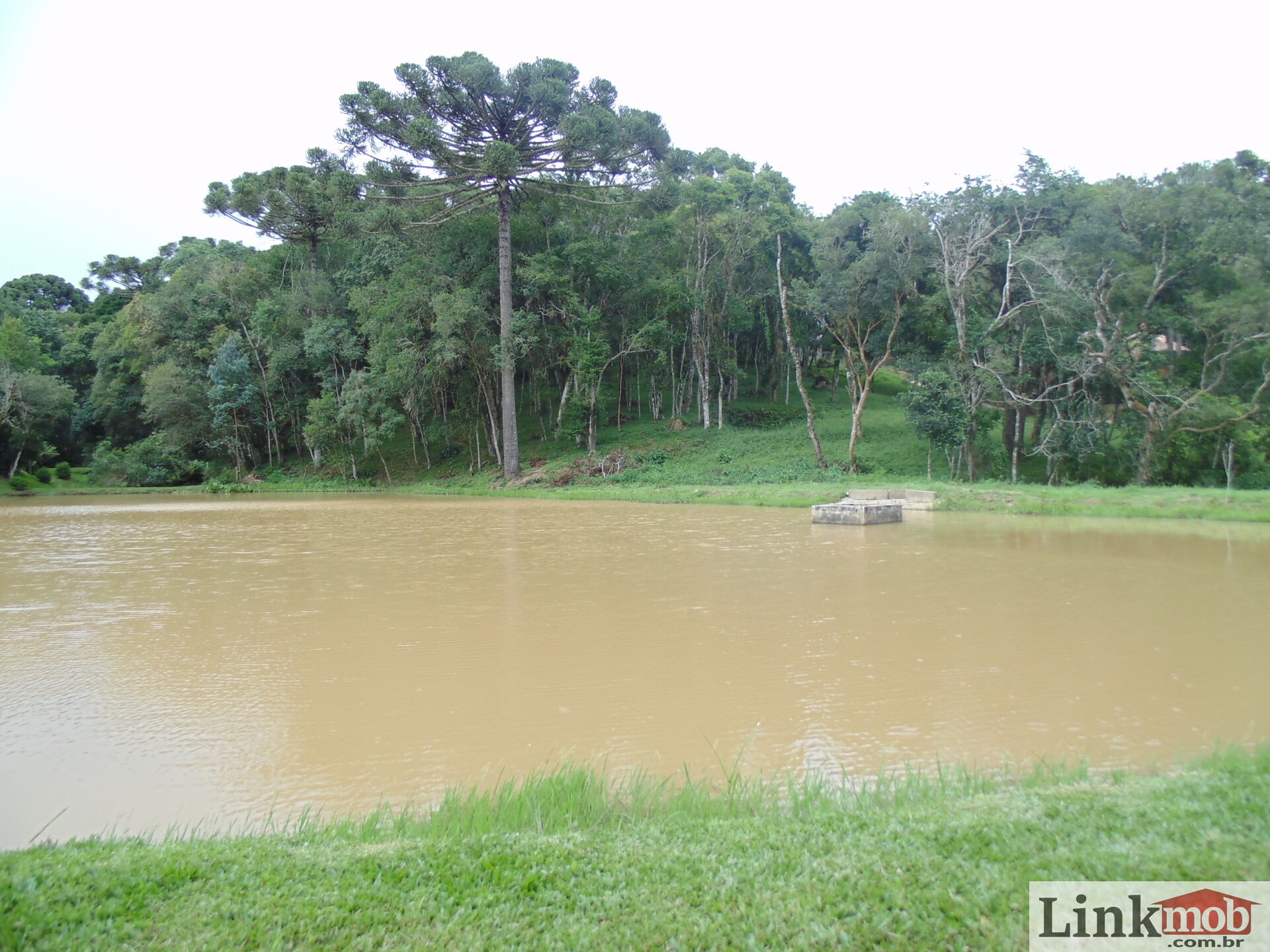 Fazenda à venda com 3 quartos, 3500m² - Foto 41